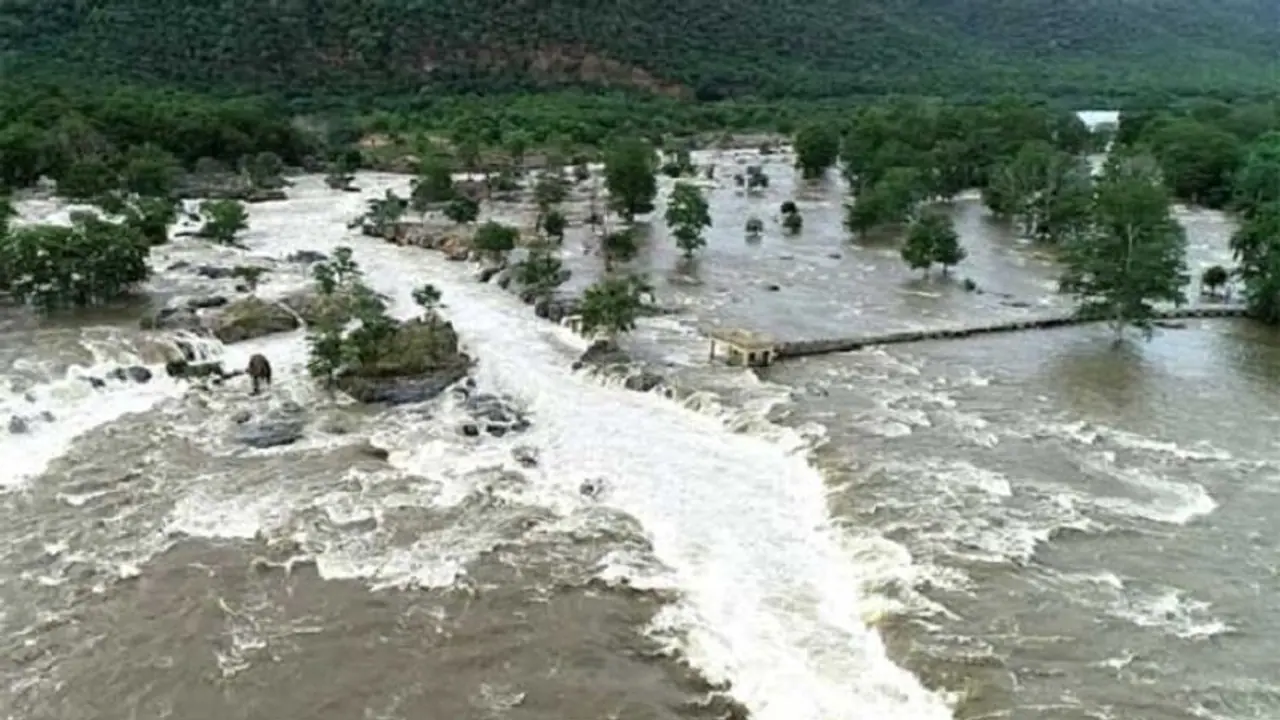 ತಮಿಳುನಾಡಿಗೆ ಲಕ್ಷಗಟ್ಟಲೆ ಕ್ಯುಸೆಕ್; ಮಂಡ್ಯ ನಾಲೆಗಿಲ್ಲ ಹನಿ ನೀರು ತಮಿಳುನಾಡಿಗೆ ಲಕ್ಷಗಟ್ಟಲೆ ಕ್ಯುಸೆಕ್; ಮಂಡ್ಯ ನಾಲೆಗಿಲ್ಲ ಹನಿ ನೀರು