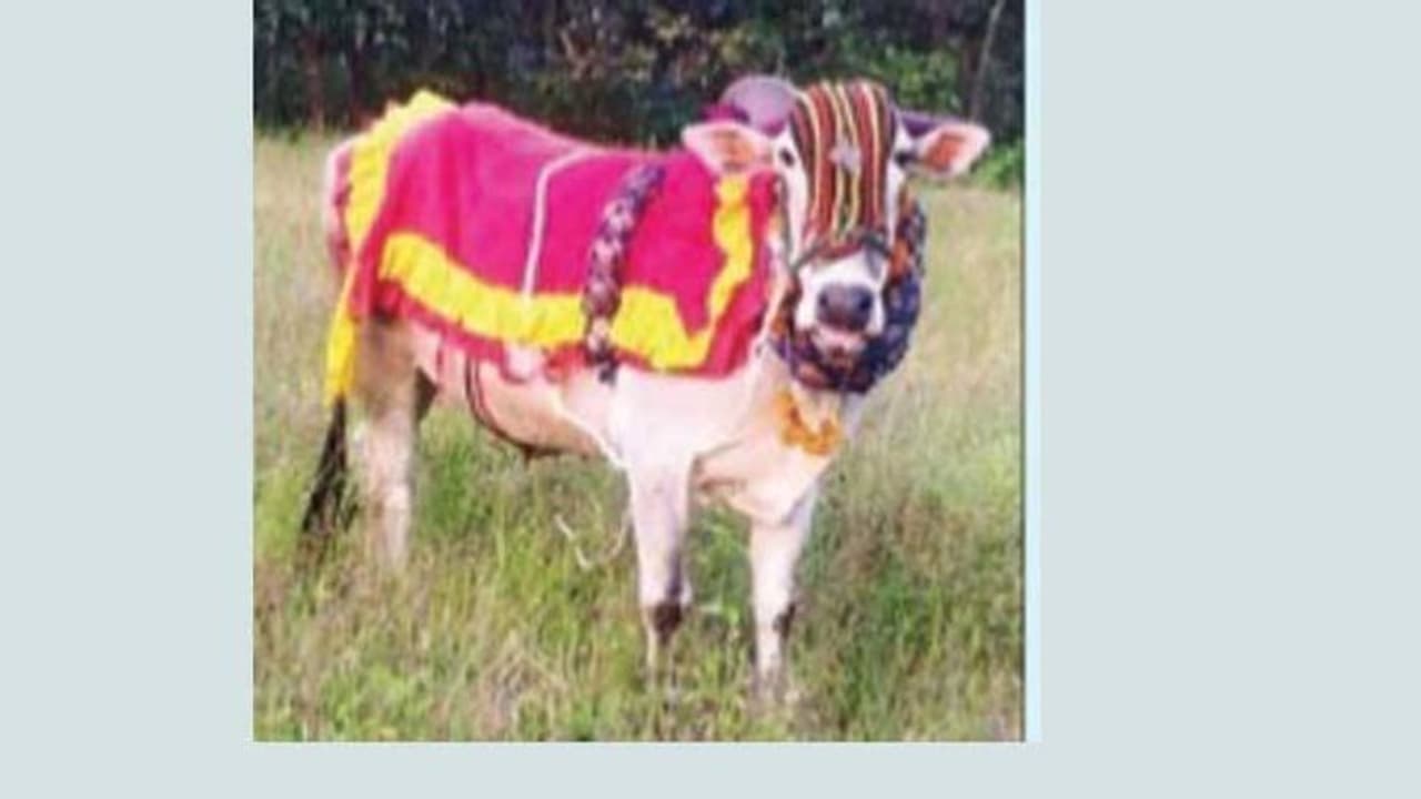 ರಾಜ್ಯಮಟ್ಟದಲ್ಲಿ ಹೆಸರು ಮಾಡಿದ್ದ ಶ್ರೀರಾಮ ಆಕಸ್ಮಿಕ ಸಾವು ರಾಜ್ಯಮಟ್ಟದಲ್ಲಿ ಹೆಸರು ಮಾಡಿದ್ದ ಶ್ರೀರಾಮ ಆಕಸ್ಮಿಕ ಸಾವು