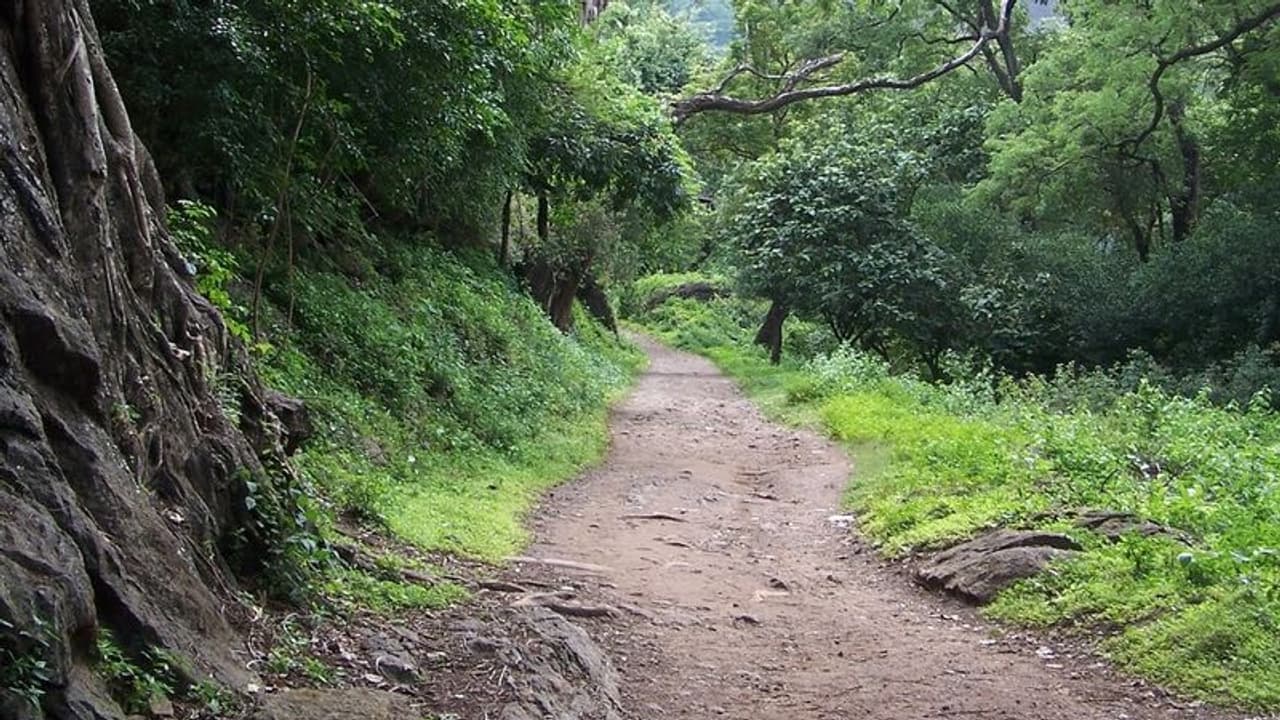 காதலி என நினைத்து இளம் பெண்ணை தோட்டத்து ரோட்டில் வைத்து வாலிபர் பண்ண வேலைய பாருங்க... காதலி என நினைத்து இளம் பெண்ணை தோட்டத்து ரோட்டில் வைத்து வாலிபர் பண்ண வேலைய பாருங்க...