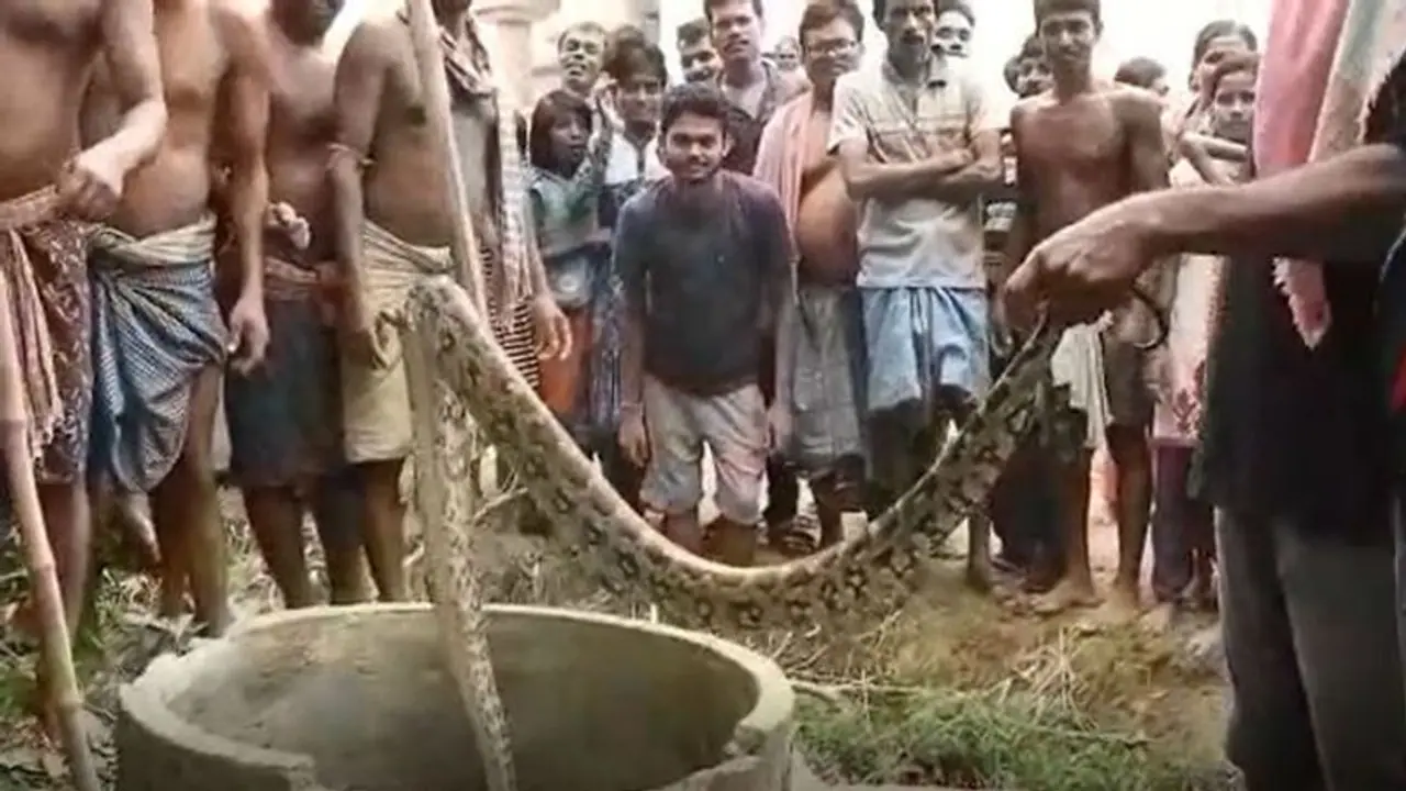 বাড়ির মধ্যেই বারো ফুটের পাইথন, আতঙ্ক পশ্চিম মেদিনীপুরে বাড়ির মধ্যেই বারো ফুটের পাইথন, আতঙ্ক পশ্চিম মেদিনীপুরে