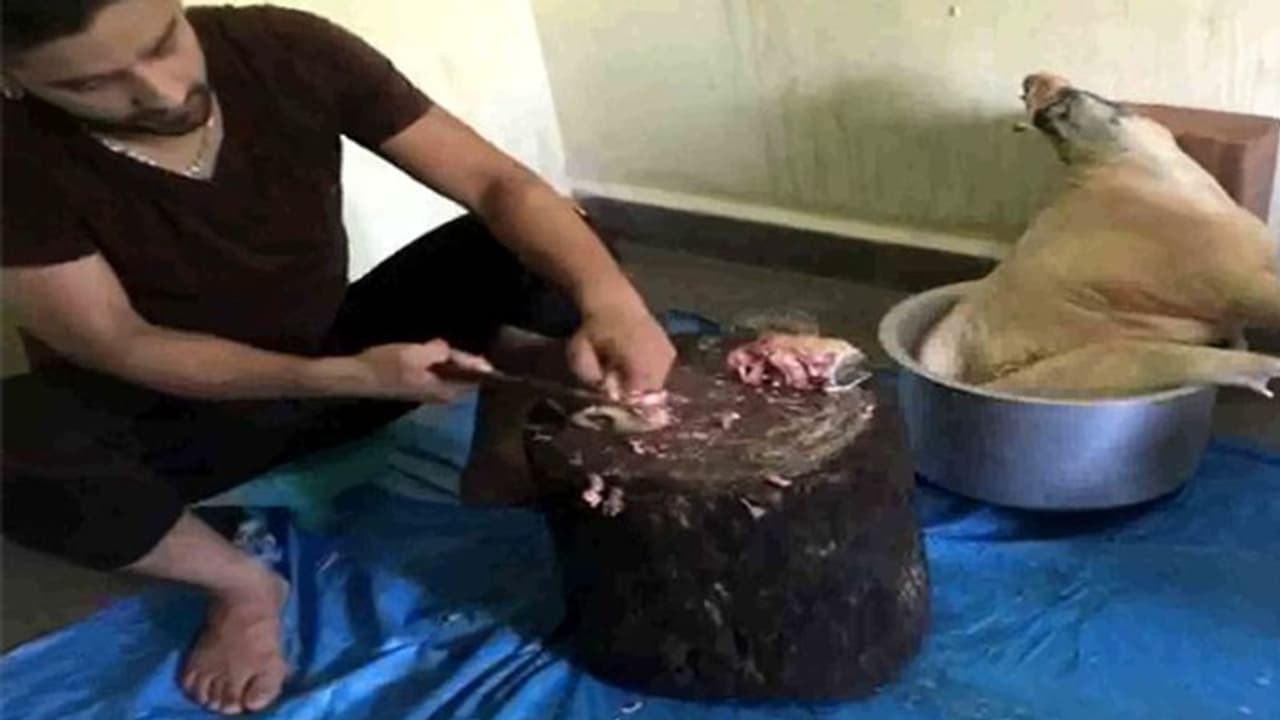 ಮಾಂಸದಂಗಡಿಗೆ ಪರವಾನಗಿ ಕಡ್ಡಾಯ; ಮಾಲೀಕರಿಗೆ ಸೂಚನೆ ಮಾಂಸದಂಗಡಿಗೆ ಪರವಾನಗಿ ಕಡ್ಡಾಯ; ಮಾಲೀಕರಿಗೆ ಸೂಚನೆ