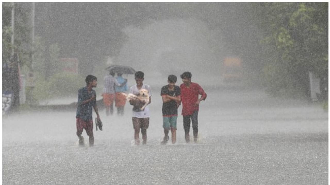 ತುಂಬರಮನೆ ಸೇತುವೆ ಕುಸಿತ: ಸ್ಥಳೀಯರ ಆಕ್ರೋಶ