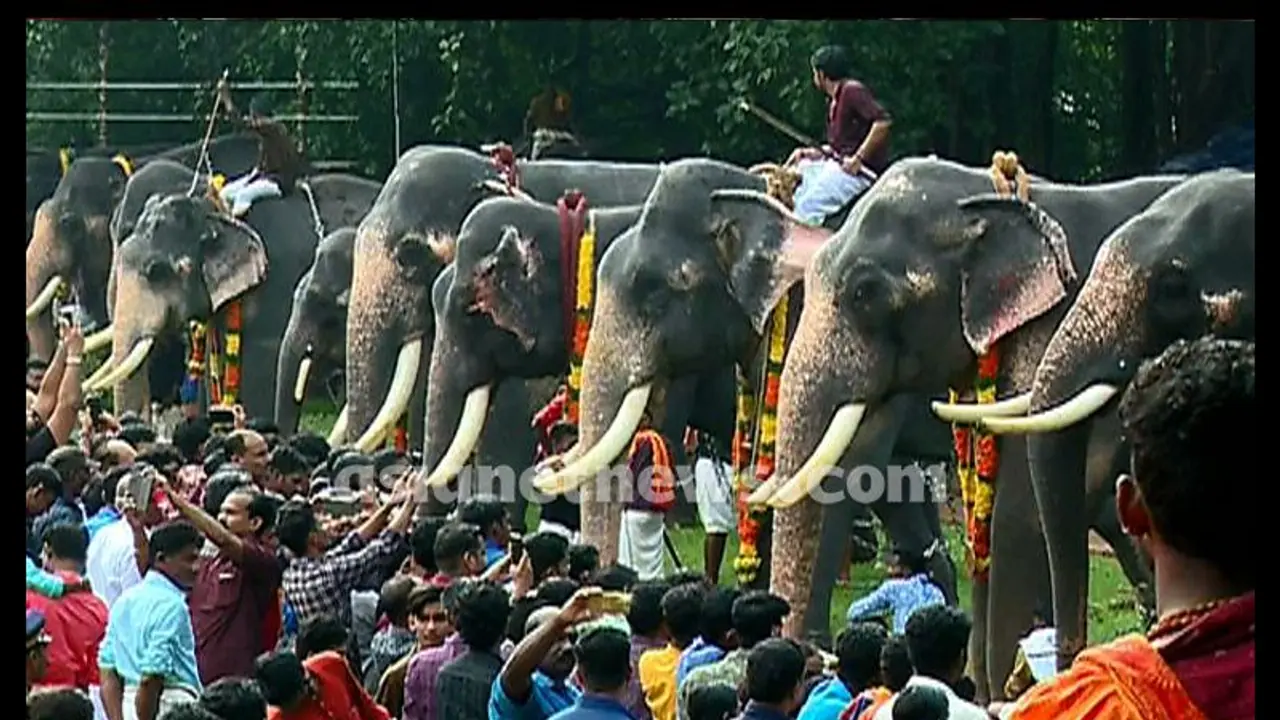 ಕೇರಳದಲ್ಲಿ ವಿಶೇಷ ಆನೆ ಹಬ್ಬ; ಒಂದು ತಿಂಗಳು ಗಜರಾಜನಿಗೆ ಚಿಕಿತ್ಸೆ, ಆರೈಕೆ! ಕೇರಳದಲ್ಲಿ ವಿಶೇಷ ಆನೆ ಹಬ್ಬ; ಒಂದು ತಿಂಗಳು ಗಜರಾಜನಿಗೆ ಚಿಕಿತ್ಸೆ, ಆರೈಕೆ!