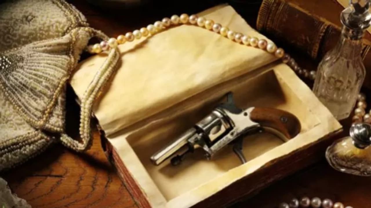 സ്ത്രീകള്‍ക്ക് സുരക്ഷക്കായി കൈത്തോക്ക്; ഇതുവരെ വിറ്റുപോയത് 2500 എണ്ണം