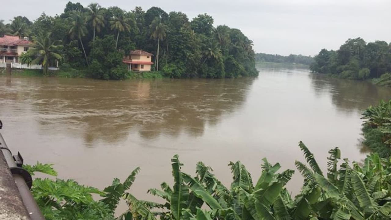കുട്ടനാട്ടില് 12 പഞ്ചായത്തുകളില് പ്രളയപ്രതിരോധത്തിന് കമ്മ്യൂണിറ്റി ഷെല്ട്ടറുകള് കുട്ടനാട്ടില് 12 പഞ്ചായത്തുകളില് പ്രളയപ്രതിരോധത്തിന് കമ്മ്യൂണിറ്റി ഷെല്ട്ടറുകള്
