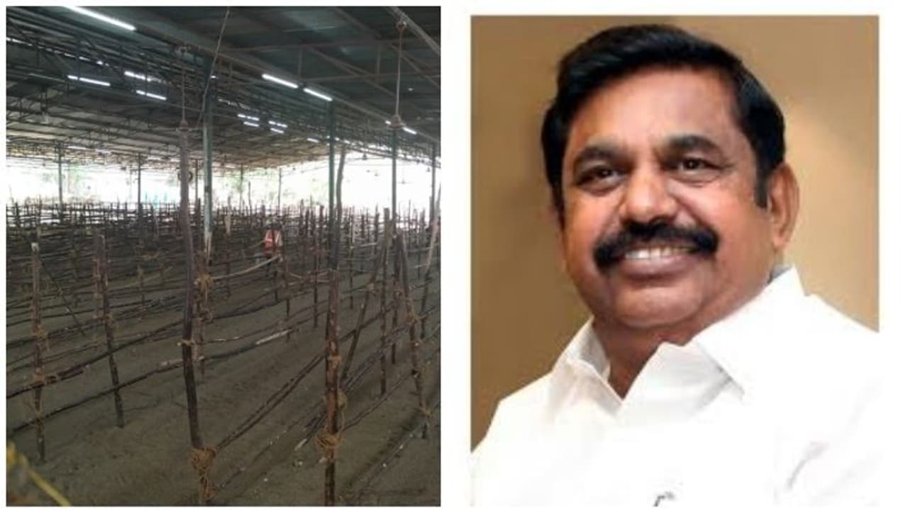 சயன கோல அத்தி வரதரை தரிசிக்கிறார் முதல்வர்..! அன்று கூட்டம் அப்படி.. ஆனால் இன்று பாருங்க..! சயன கோல அத்தி வரதரை தரிசிக்கிறார் முதல்வர்..! அன்று கூட்டம் அப்படி.. ஆனால் இன்று பாருங்க..!