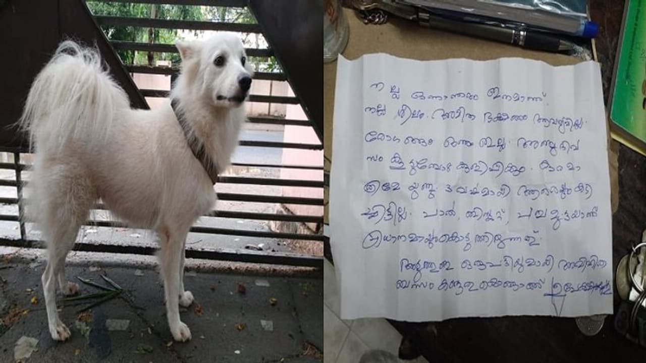 ಪಕ್ಕದ್ಮನೆ ನಾಯಿಯೊಂದಿಗೆ ಅನೈತಿಕ ಸಂಬಂಧ, ಮನೆಯಿಂದಲೇ ಶ್ವಾನ ಔಟ್