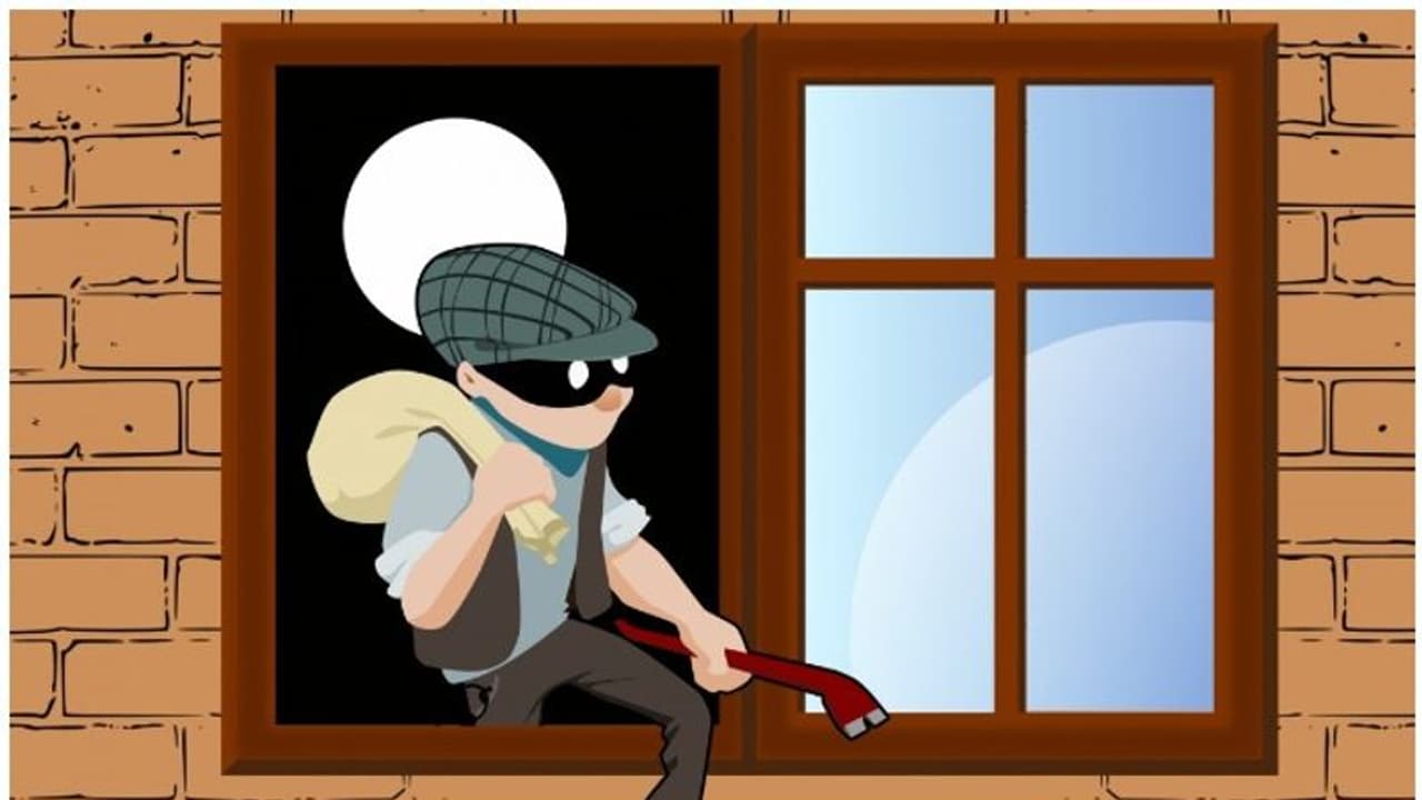 హౌస్ కీపింగ్ చేస్తూనే... ఇళ్లకు కన్నం..