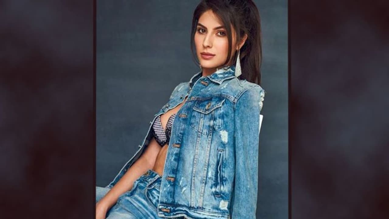 ফের কাঠগড়ায় মার্কিন অভিবাসন দফতর, হেনস্তার অভিযোগ ইরানীয় অভিনেত্রীর ফের কাঠগড়ায় মার্কিন অভিবাসন দফতর, হেনস্তার অভিযোগ ইরানীয় অভিনেত্রীর