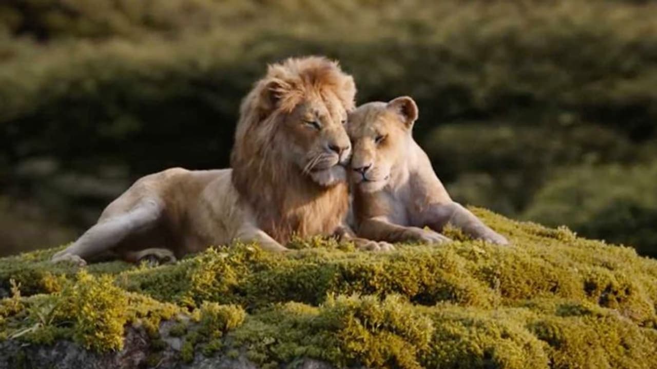 ಕೊರೋನಾ ಎಫೆಕ್ಟ್: ಸಿಂಹಧಾಮದಲ್ಲೂ ಆರ್ಥಿಕ ಸಂಕಷ್ಟದ ಘರ್ಜನೆ..! ಕೊರೋನಾ ಎಫೆಕ್ಟ್: ಸಿಂಹಧಾಮದಲ್ಲೂ ಆರ್ಥಿಕ ಸಂಕಷ್ಟದ ಘರ್ಜನೆ..!