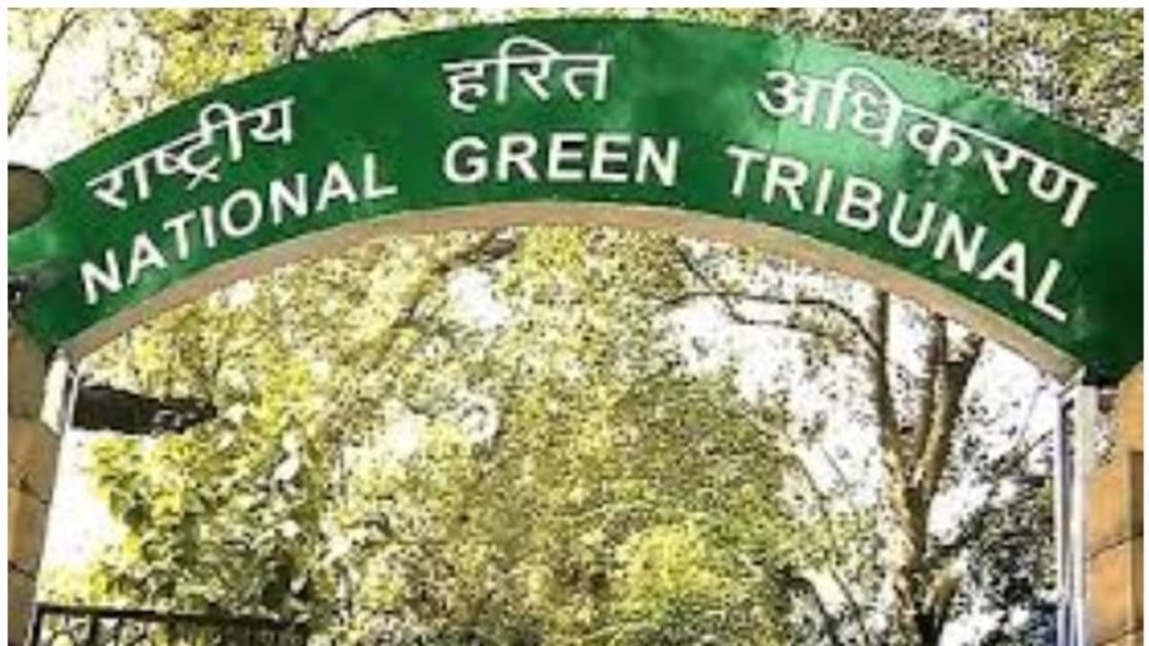 ದೆಹಲಿಯಲ್ಲಿ 10 ವರ್ಷ ಹಳೆ ಡೀಸೆಲ್ ವಾಹನ ಬಳಕೆ ನಿಷೇಧ ವಿನಾಯ್ತಿಗೆ NGT ನಕಾರ! ದೆಹಲಿಯಲ್ಲಿ 10 ವರ್ಷ ಹಳೆ ಡೀಸೆಲ್ ವಾಹನ ಬಳಕೆ ನಿಷೇಧ ವಿನಾಯ್ತಿಗೆ NGT ನಕಾರ!