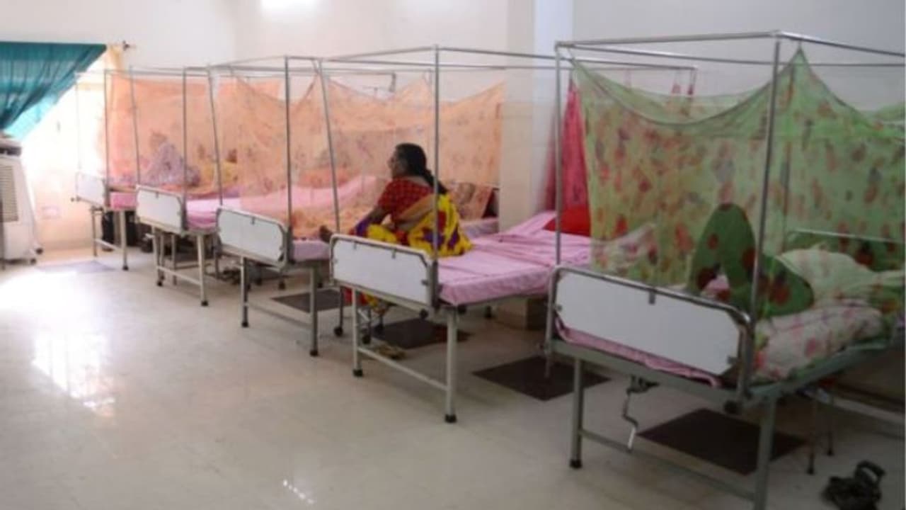 বাংলাদেশে প্রতি ৩ মিনিটে ১ জন আক্রান্ত ডেঙ্গুতে, একদিনেই হাসপাতালে ভর্তি হল ৫৬১ জন বাংলাদেশে প্রতি ৩ মিনিটে ১ জন আক্রান্ত ডেঙ্গুতে, একদিনেই হাসপাতালে ভর্তি হল ৫৬১ জন