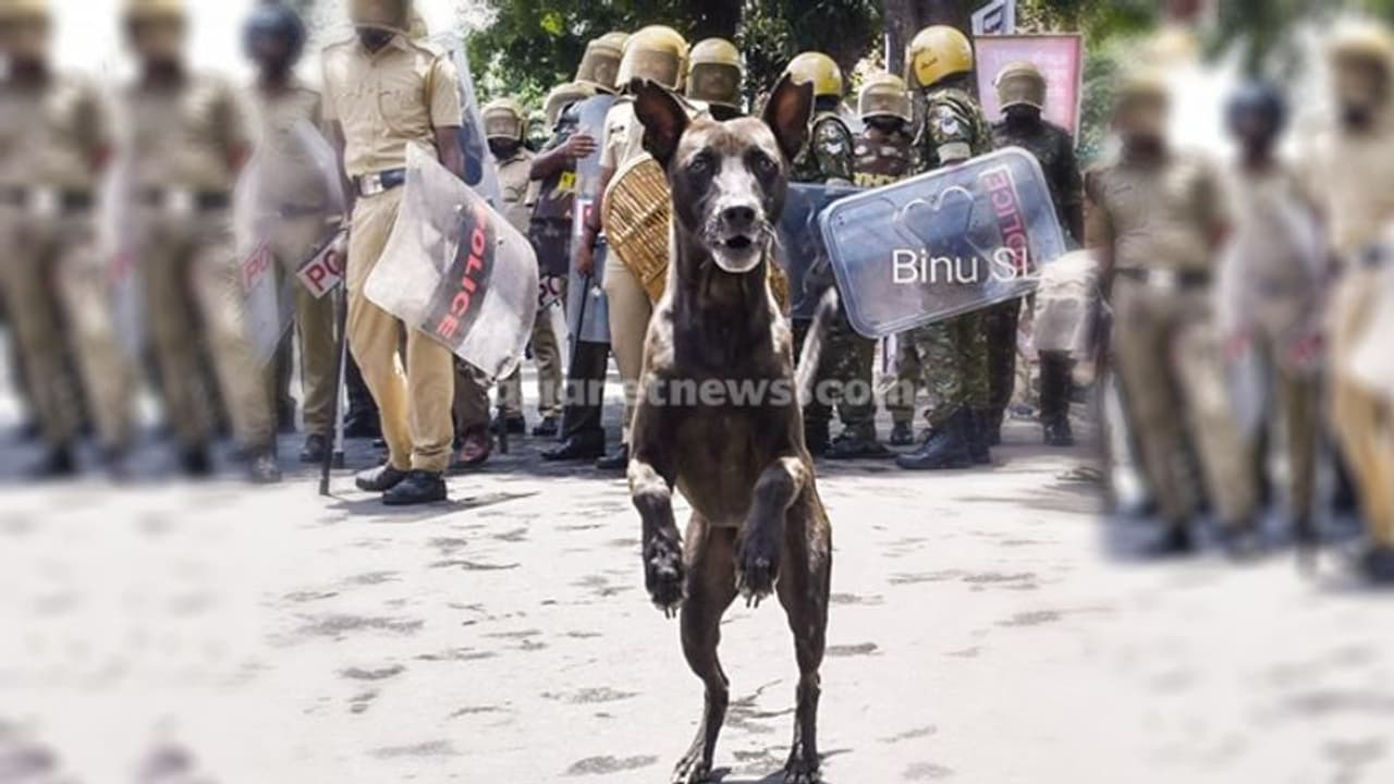 ' നന്ദിയുള്ള നായ് '; ജനമൈത്രി പൊലീസ് ഫേസ്ബുക്കില്‍ പങ്കുവച്ച ചിത്രം വൈറല്‍