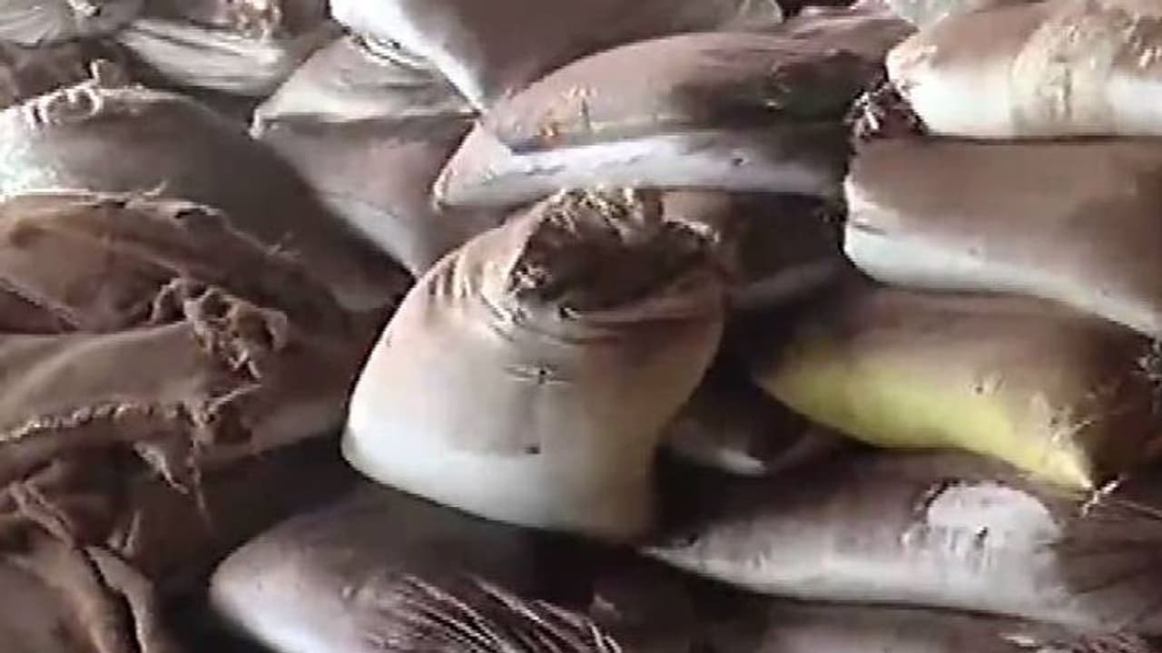 തേനില് മാത്രമല്ല മായം; 100 കിലോ ചായപ്പൊടി പിടിച്ചെടുത്തു തേനില് മാത്രമല്ല മായം; 100 കിലോ ചായപ്പൊടി പിടിച്ചെടുത്തു