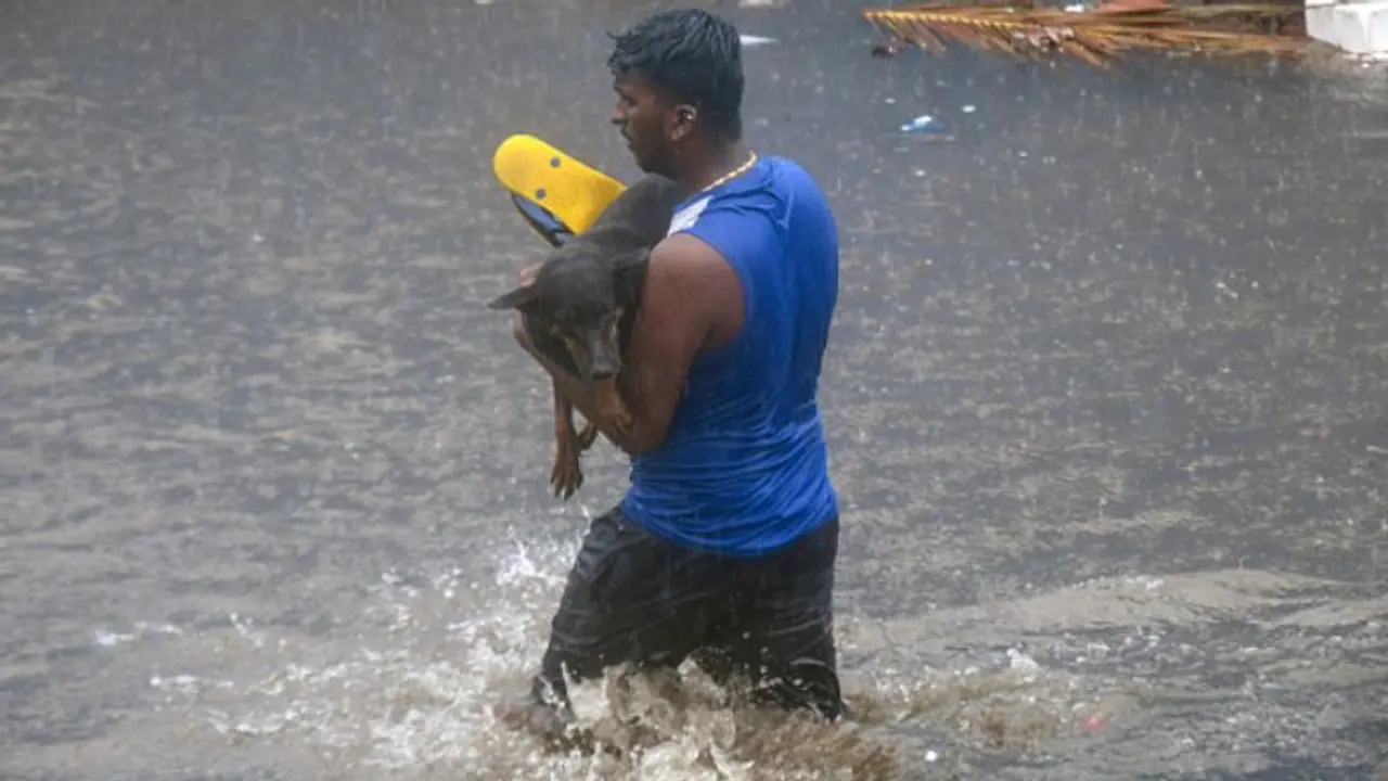 ফের ভারী থেকে অতি ভারী বৃষ্টির পূর্বাভাস মহারাষ্ট্রে, একাধিক শহরে জারি হল সতর্কতা