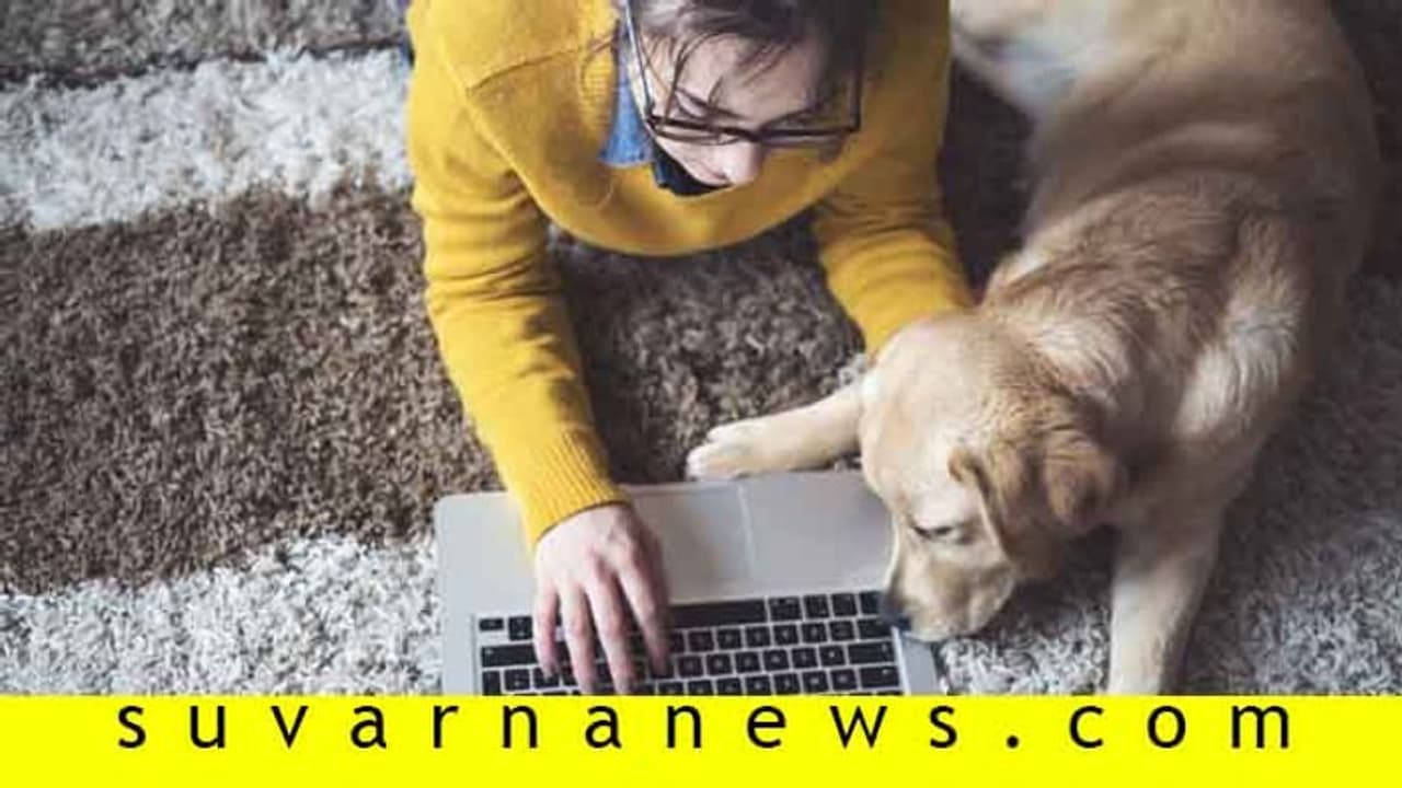 ಪ್ರಾಣಿ ಫೋಟೋ ನೋಡಿದ್ರೆ ಹೆಚ್ಚುತ್ತೆ ಪ್ರೊಡಕ್ಟಿವಿಟಿ! ಪ್ರಾಣಿ ಫೋಟೋ ನೋಡಿದ್ರೆ ಹೆಚ್ಚುತ್ತೆ ಪ್ರೊಡಕ್ಟಿವಿಟಿ!