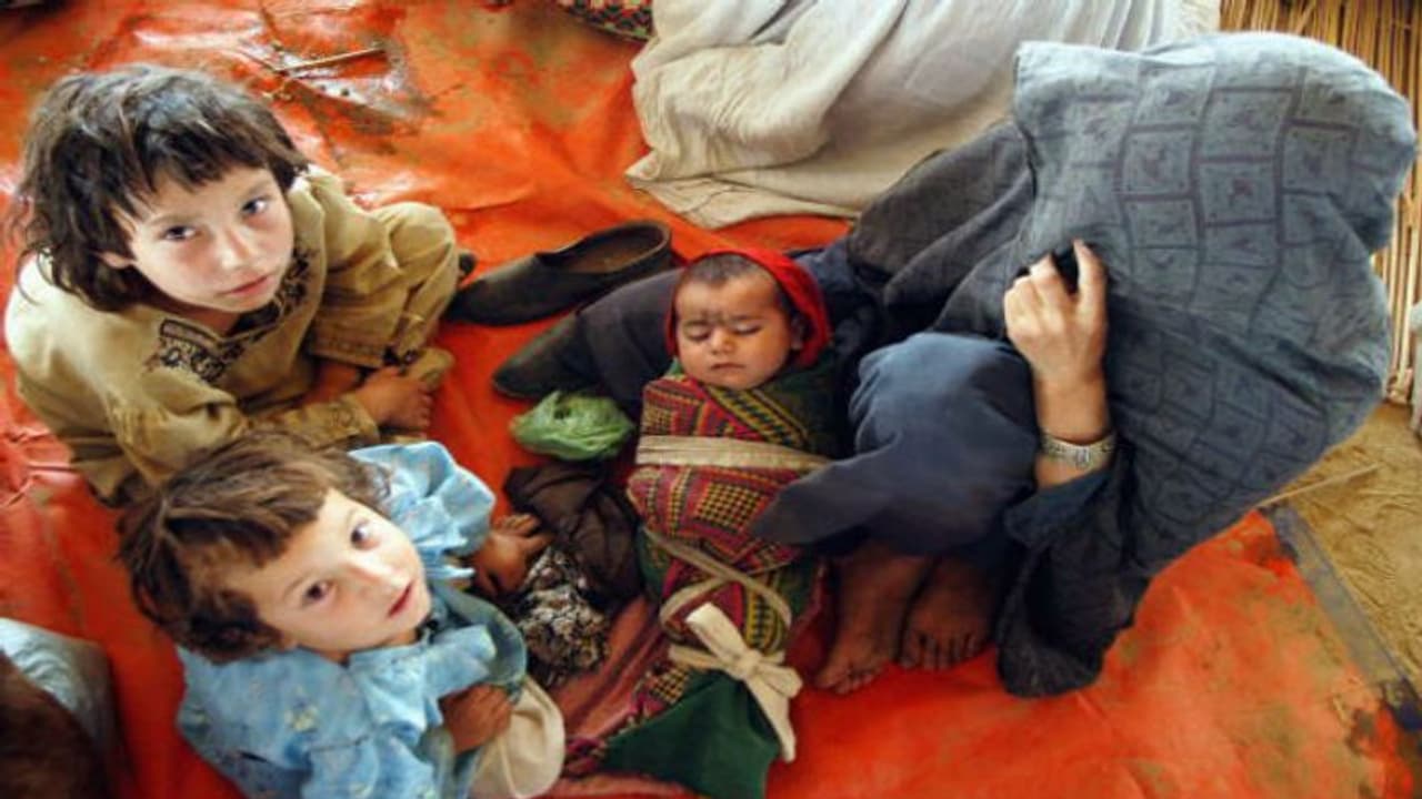 ৪০ শতাংশ পাকিস্তানি শিশু অপুষ্টির শিকার, সমীক্ষায় উঠে এল ভয়াল চিত্র ৪০ শতাংশ পাকিস্তানি শিশু অপুষ্টির শিকার, সমীক্ষায় উঠে এল ভয়াল চিত্র