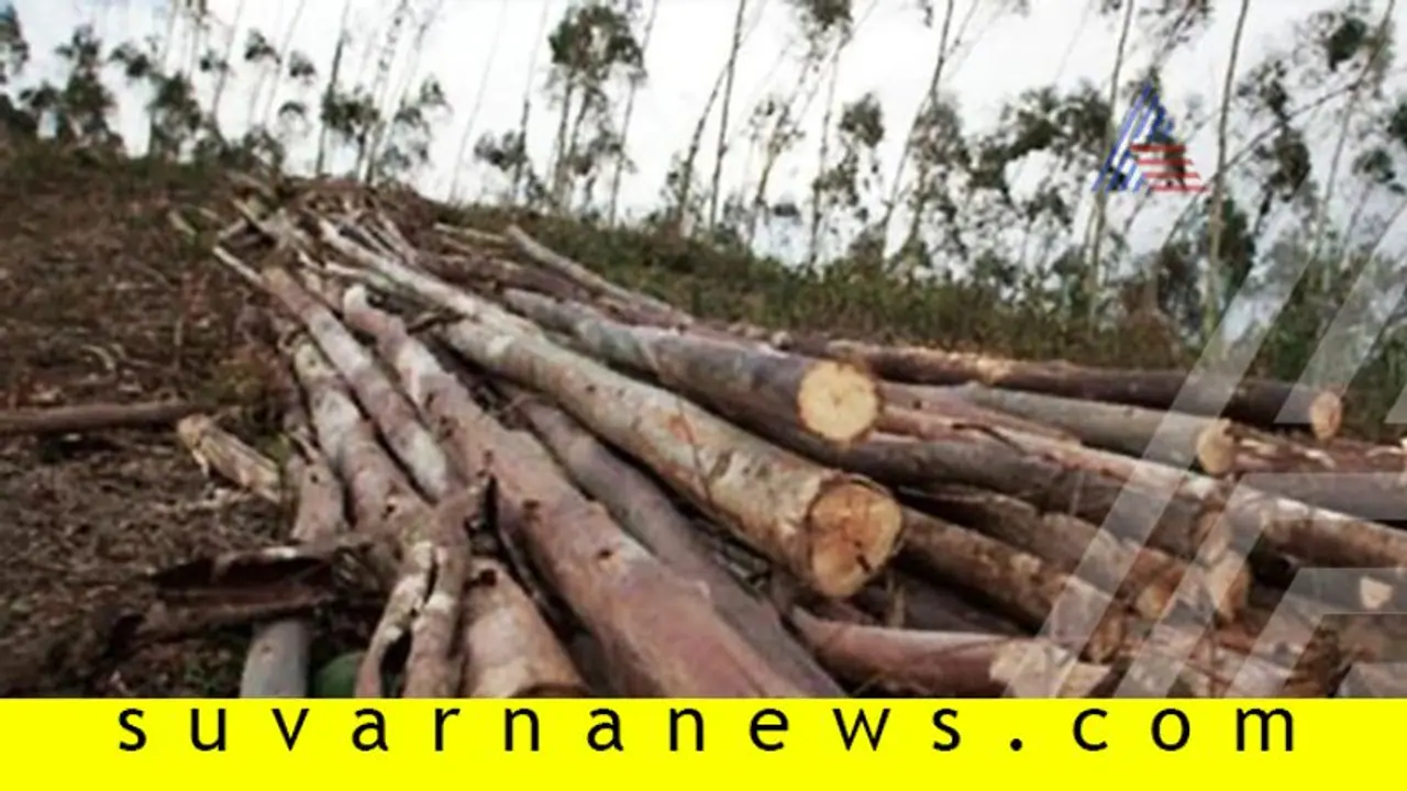 ಲಾಕ್‌ಡೌನ್‌: ದುಷ್ಕರ್ಮಿಗಳಿಂದ ಮರಗಳ ಮಾರಣ ಹೋಮ!