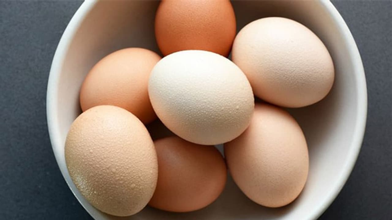 ഭർത്താവ് മുട്ട നൽകിയില്ല; യുവതി രണ്ടാമതും കാമുകനൊപ്പം ഒളിച്ചോടി