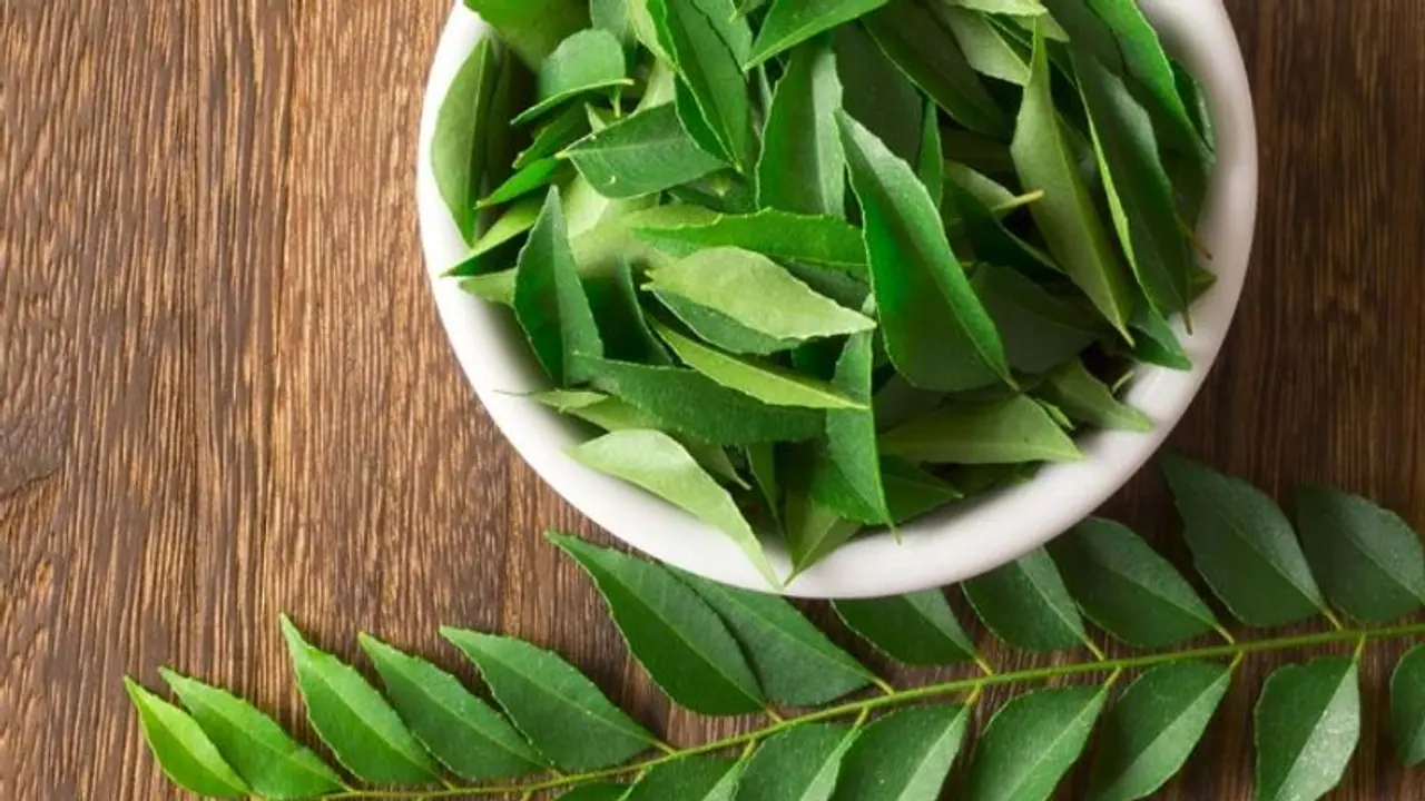 দৃষ্টিহীনতা রোধ করতে পারে, চুলের অকালপক্কতার হাত থেকে বাঁচাতে পারে কারিপাতা