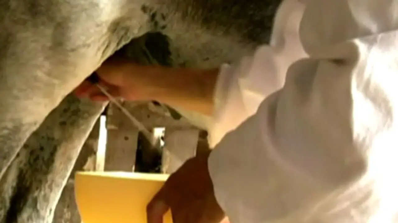 ಹೈನುಗಾರರಿಗೆ ಇನ್ಮುಂದೆ ಸಿಗುತ್ತೆ ಪಿಂಚಣಿ ಹೈನುಗಾರರಿಗೆ ಇನ್ಮುಂದೆ ಸಿಗುತ್ತೆ ಪಿಂಚಣಿ