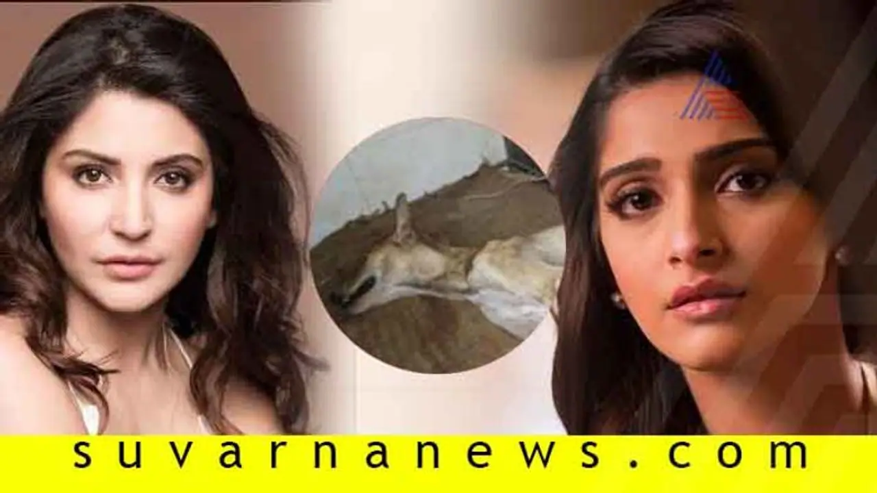 ಮಳೆಯಿಂದ ರಕ್ಷಣೆಗಾಗಿ ಬಂದ ಶ್ವಾನಕ್ಕೆ ಥಳಿತ; ನ್ಯಾಯಕ್ಕಾಗಿ ಒಂದಾದ ಬಾಲಿವುಡ್ ತಾರೆಯರು