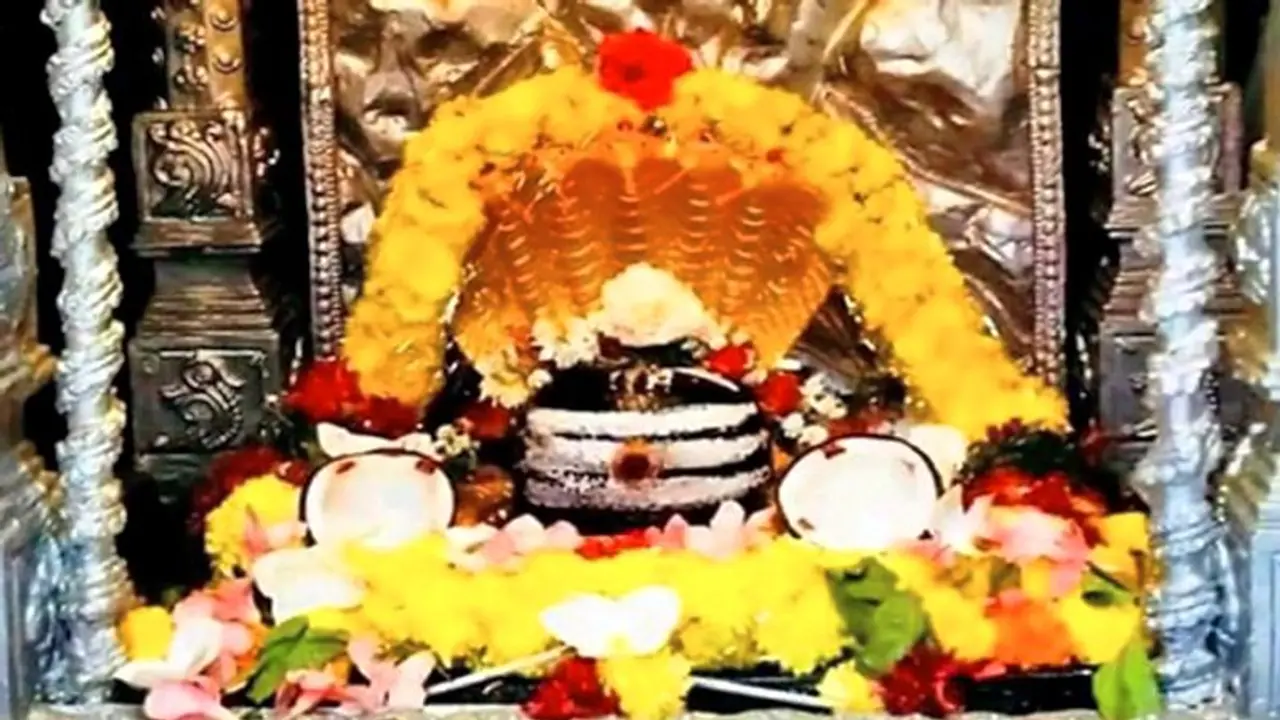 सावन मान्यता: इस ज्योतिर्लिंग के दर्शन से होती है सभी प्रकार के सुखों की प्राप्ति सावन मान्यता: इस ज्योतिर्लिंग के दर्शन से होती है सभी प्रकार के सुखों की प्राप्ति