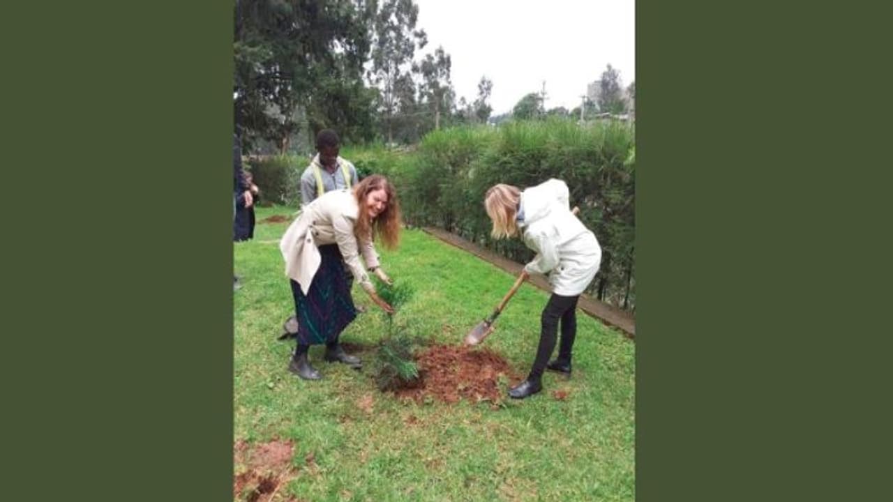 একদিনে ৩৫০ মিলিয়ন বৃক্ষরোপণ, পরিবেশ বাঁচাতে বিশ্ব রেকর্ড এই দেশের