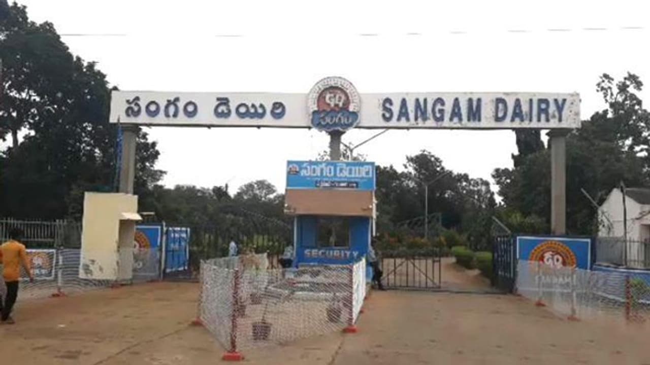 సంగం డెయిరీలో రూ.44 లక్షల చోరీ, 24 గంటల్లో ఛేదించిన పోలీసులు సంగం డెయిరీలో రూ.44 లక్షల చోరీ, 24 గంటల్లో ఛేదించిన పోలీసులు