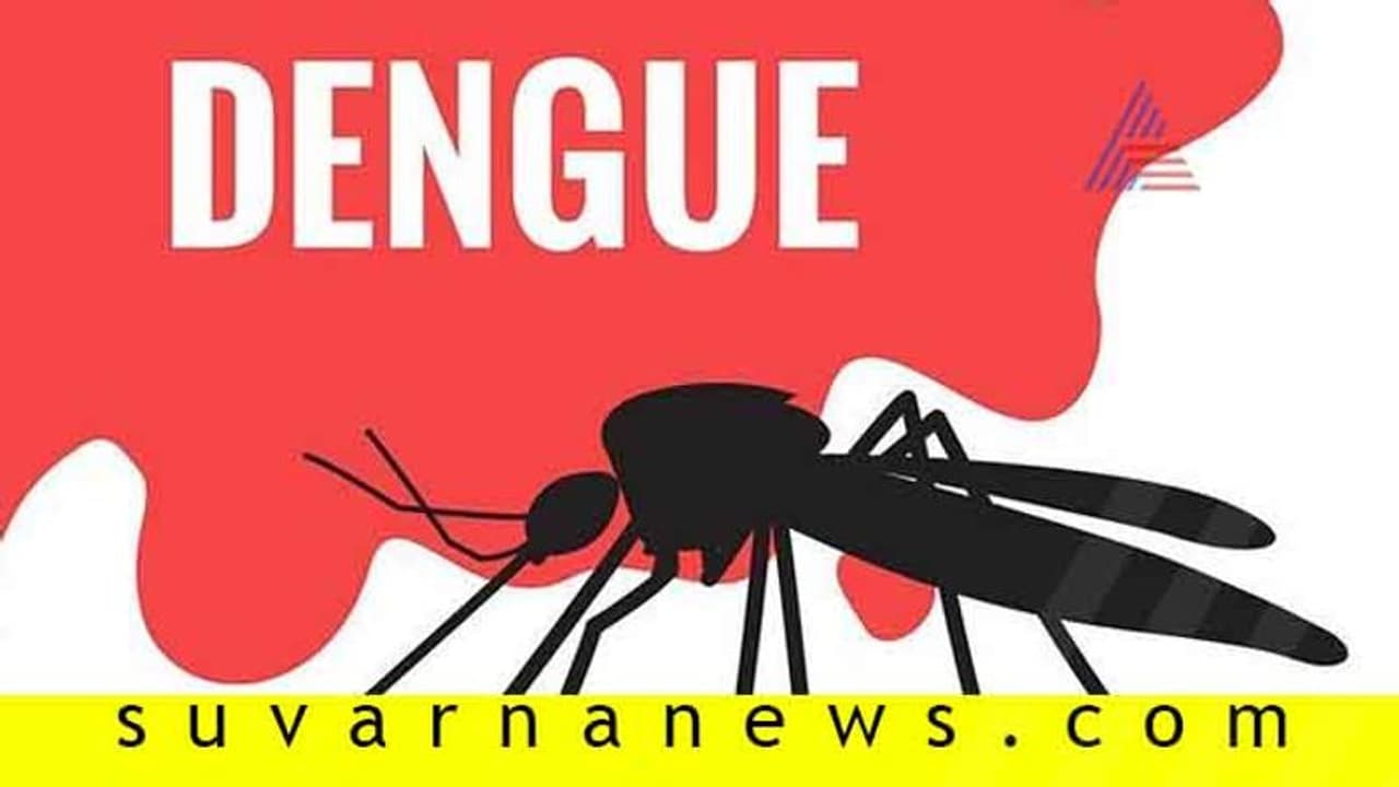 ಡೆಂಘೀ ಜ್ವರ; ಭಯ ಬೇಕಾಗಿಲ್ಲ, ನಿರ್ಲಕ್ಷ್ಯ ಬೇಡ! ಡೆಂಘೀ ಜ್ವರ; ಭಯ ಬೇಕಾಗಿಲ್ಲ, ನಿರ್ಲಕ್ಷ್ಯ ಬೇಡ!