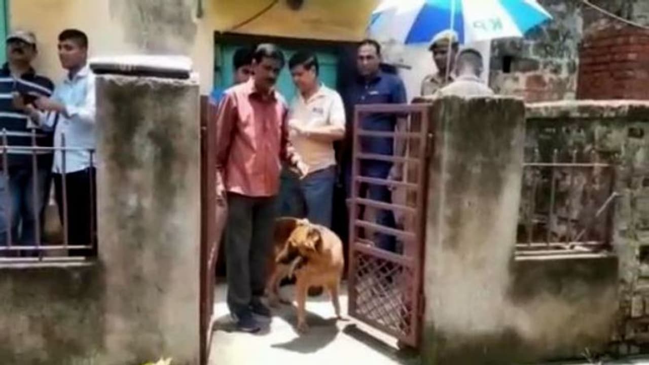 বাড়িতেই খুন নিঃসন্তান বৃদ্ধ দম্পতি, খুনের পিছনে কি প্রোমোটিং চক্র বাড়িতেই খুন নিঃসন্তান বৃদ্ধ দম্পতি, খুনের পিছনে কি প্রোমোটিং চক্র