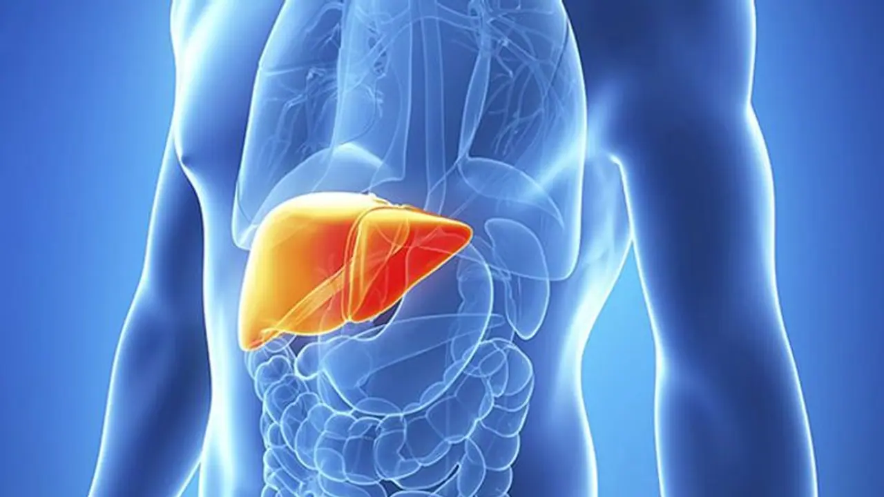ഫാറ്റി ലിവർ തടയാൻ ഈ അഞ്ച് ഭക്ഷണങ്ങൾ മികച്ചത്