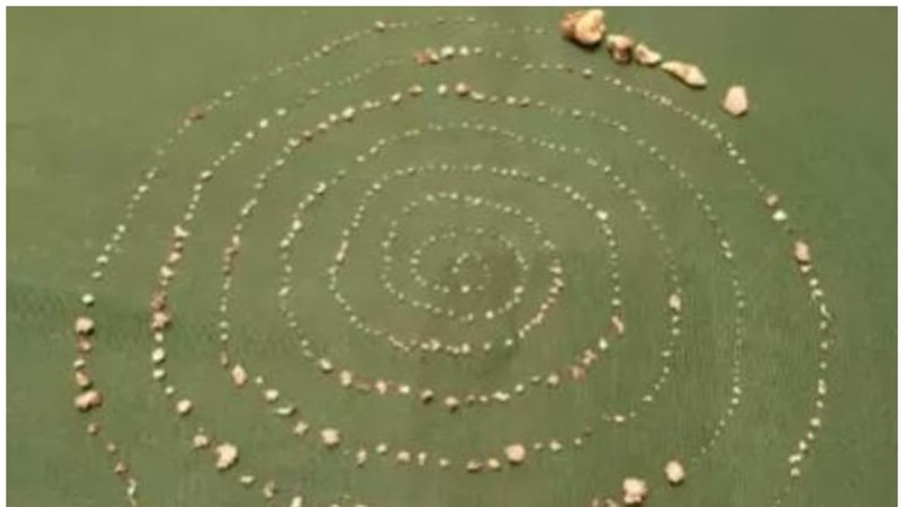 ഏഴുവയസ്സുകാരന്റെ വായില് നിന്ന് നീക്കിയത് 527 പല്ലുകള്! ഏഴുവയസ്സുകാരന്റെ വായില് നിന്ന് നീക്കിയത് 527 പല്ലുകള്!