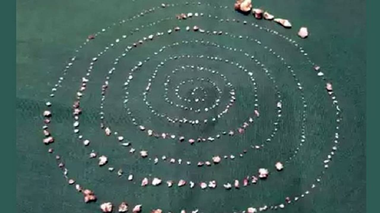 ಬಾಲಕನ ಬಾಯಲ್ಲಿ ಇತ್ತು 527 ಹಲ್ಲು!