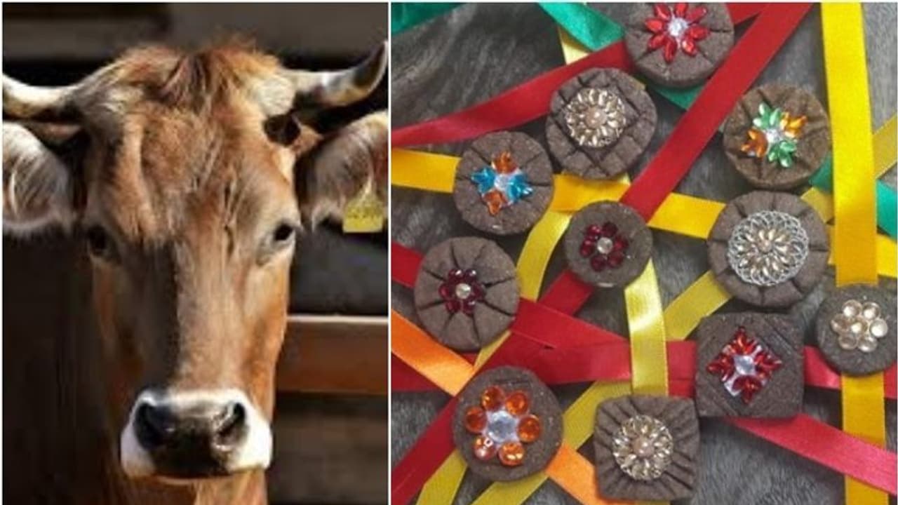 ചാണകത്തില് നിന്ന് രാഖിയും; പുതിയ സംരഭവുമായി ശ്രീകൃഷ്ണ ഗോശാല ചാണകത്തില് നിന്ന് രാഖിയും; പുതിയ സംരഭവുമായി ശ്രീകൃഷ്ണ ഗോശാല