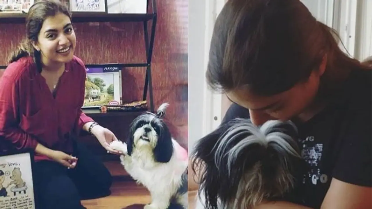 ഓറിയോയോട് മിണ്ടിയും പറഞ്ഞും നസ്രിയ വീഡിയോ ഓറിയോയോട് മിണ്ടിയും പറഞ്ഞും നസ്രിയ വീഡിയോ