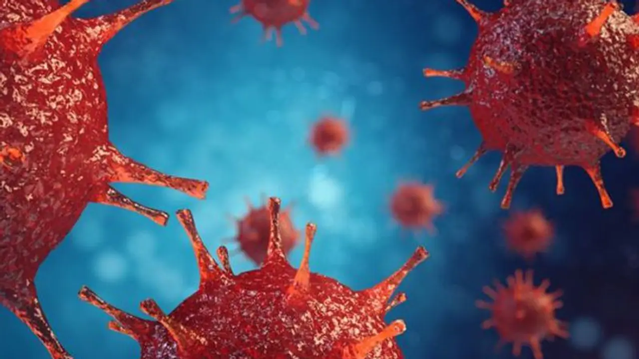 ക്യാൻസറിന് കാരണമാകുന്ന 6 ഭക്ഷണങ്ങൾ ക്യാൻസറിന് കാരണമാകുന്ന 6 ഭക്ഷണങ്ങൾ