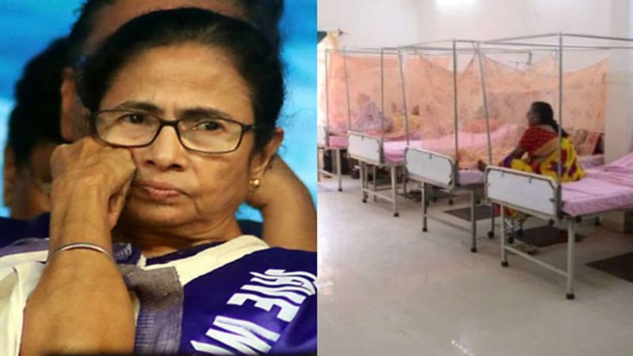 রাজ্যে ডেঙ্গুর প্রকোপ বৃদ্ধির জন্য দায়ি কি বাংলাদেশ, মুখ্যমন্ত্রীর মন্তব্যে উঠছে প্রশ্ন রাজ্যে ডেঙ্গুর প্রকোপ বৃদ্ধির জন্য দায়ি কি বাংলাদেশ, মুখ্যমন্ত্রীর মন্তব্যে উঠছে প্রশ্ন