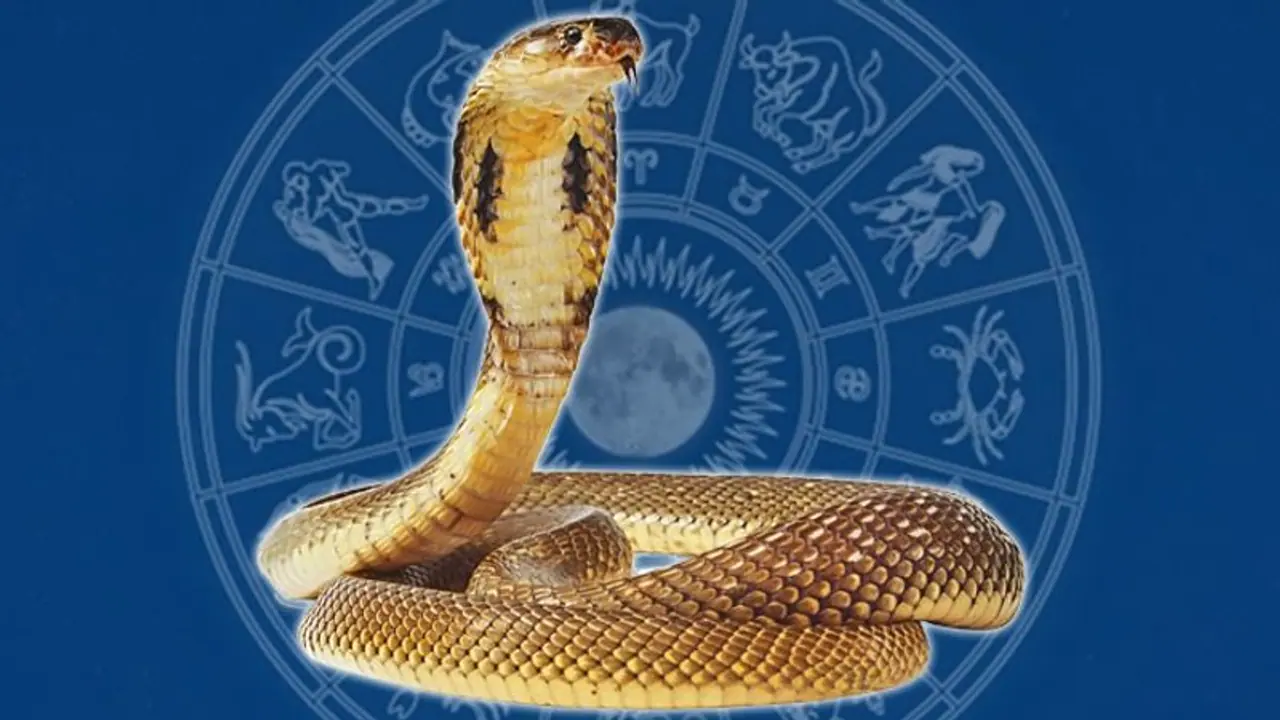 ಭೂ ಲೋಕ ನಡುಗಿತಲೇ ಎಚ್ಚರ : ಕಮ್ಮಾರಗಟ್ಟೆ ಕಾರ್ಣಿಕ ಭೂ ಲೋಕ ನಡುಗಿತಲೇ ಎಚ್ಚರ : ಕಮ್ಮಾರಗಟ್ಟೆ ಕಾರ್ಣಿಕ