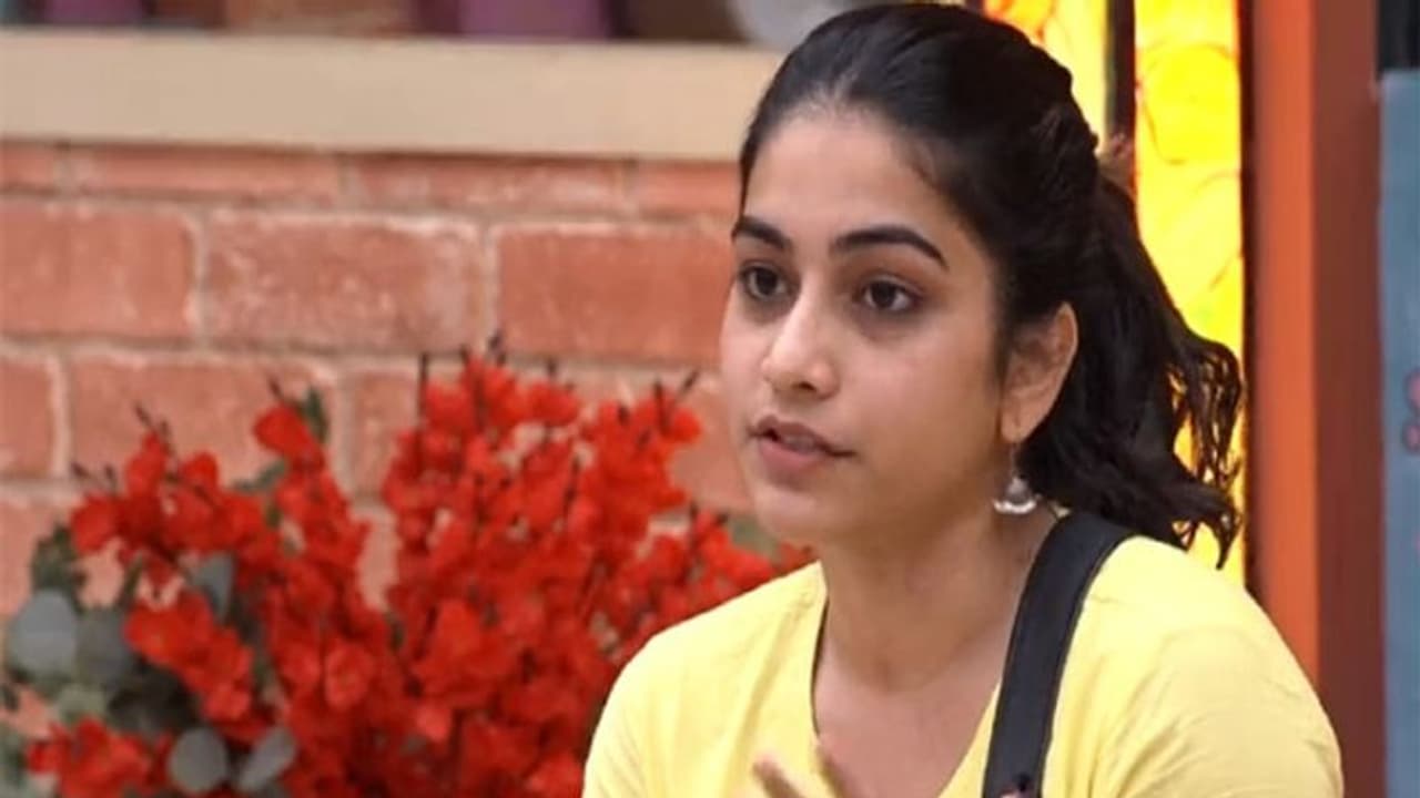 బిగ్ బాస్ 3: బాయ్ ఫ్రెండ్ చనిపోయాడని కంటతడి పెట్టుకున్న పునర్నవి