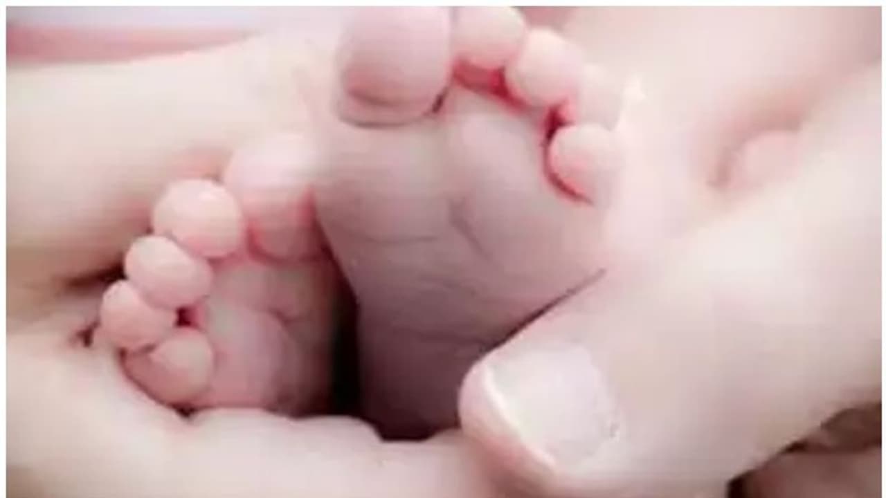 भूख से रोती रही 8 महीने की नवजात, मां नहीं पिला पाई दूध भूख से रोती रही 8 महीने की नवजात, मां नहीं पिला पाई दूध