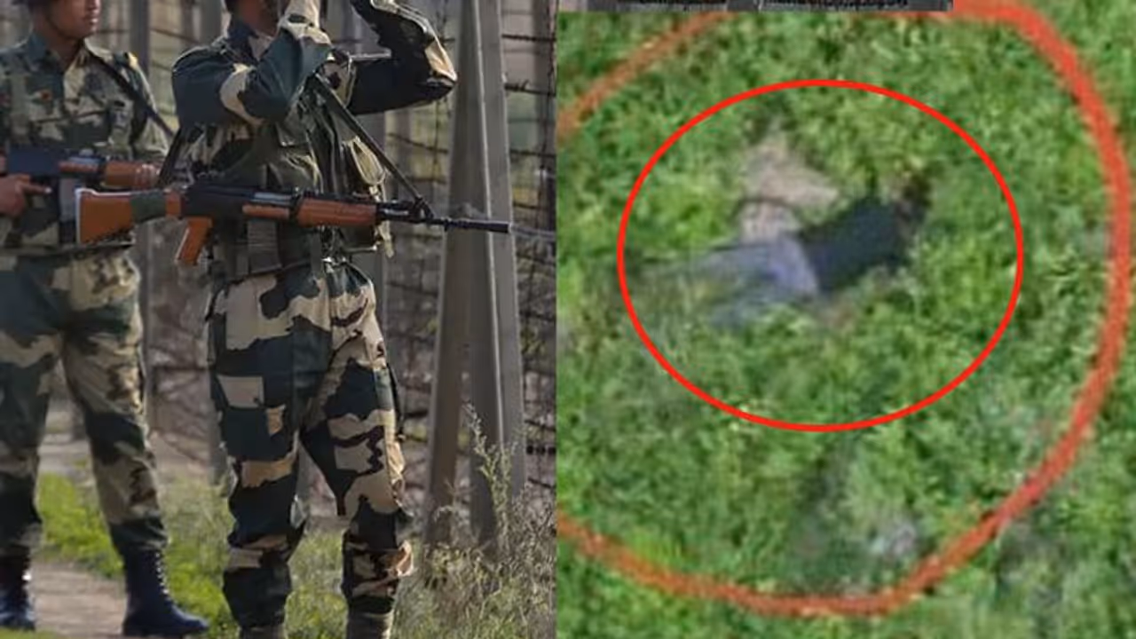 ನಿಮ್ಮವರ ಡೆಡ್ ಬಾಡಿ ತೋಗೊಂಡ್ ಹೋಗ್ರಪ್ಪ: ಭಾರತೀಯ ಸೇನೆ!