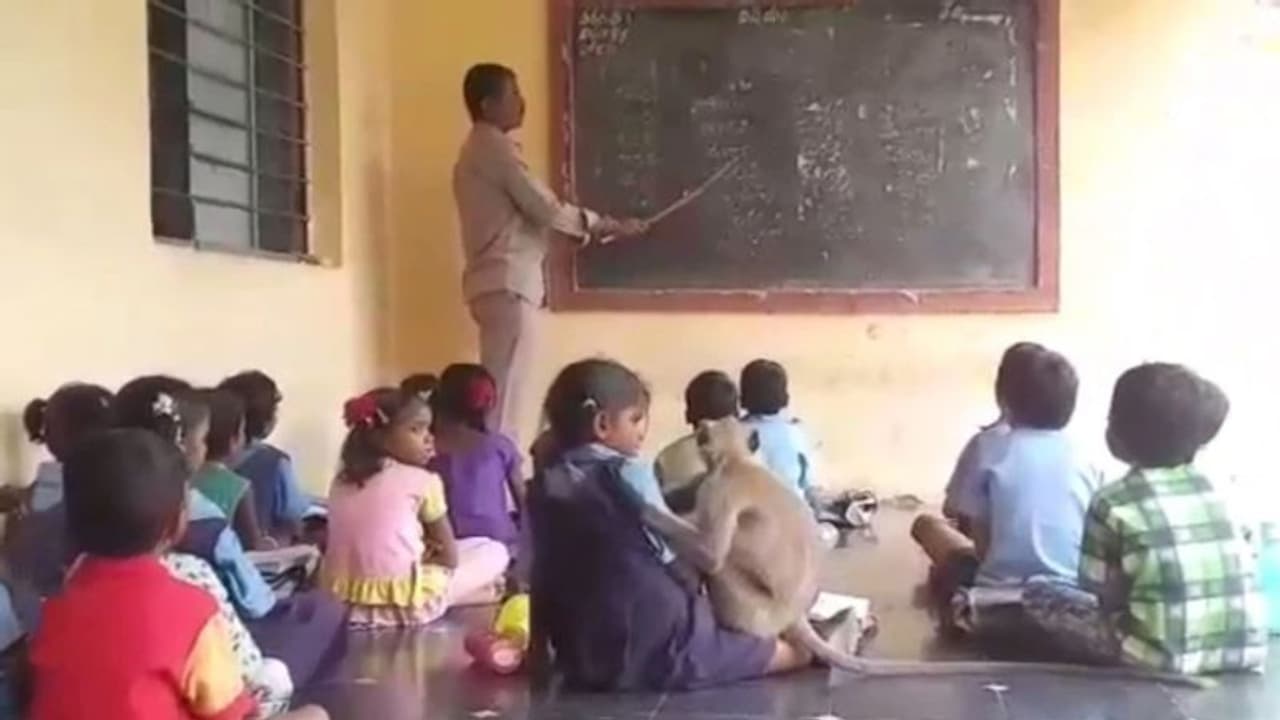 ದಸರಾ ರಜೆಯಲ್ಲೂ ಮಕ್ಕಳಿಗೆ ಪಾಠ? ದಸರಾ ರಜೆಯಲ್ಲೂ ಮಕ್ಕಳಿಗೆ ಪಾಠ?