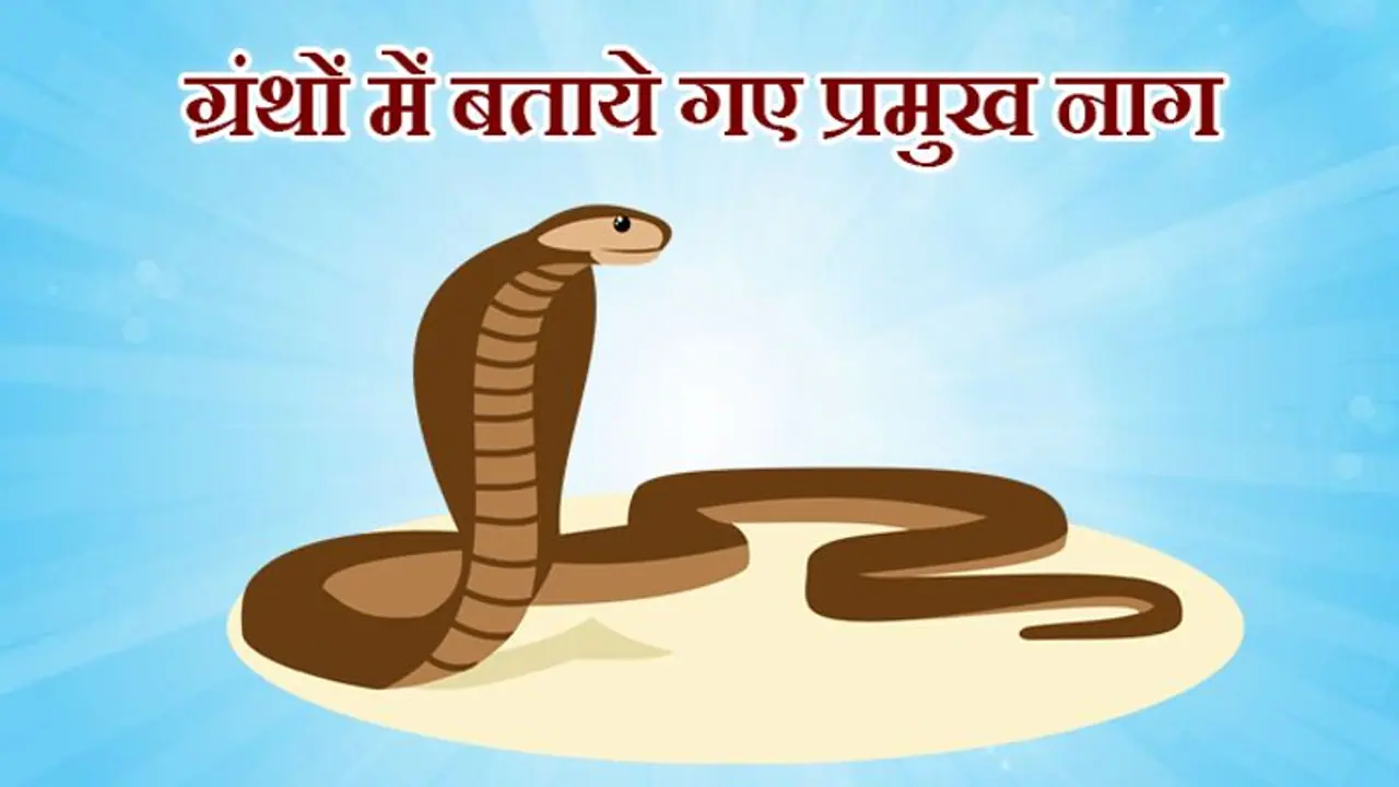 नागपंचमी: किसके कहने पर शेषनाग ने अपने सिर पर धारण की थी पृथ्वी ? ये हैं धर्म ग्रंथों में बताए गए प्रमुख नाग नागपंचमी: किसके कहने पर शेषनाग ने अपने सिर पर धारण की थी पृथ्वी ? ये हैं धर्म ग्रंथों में बताए गए प्रमुख नाग