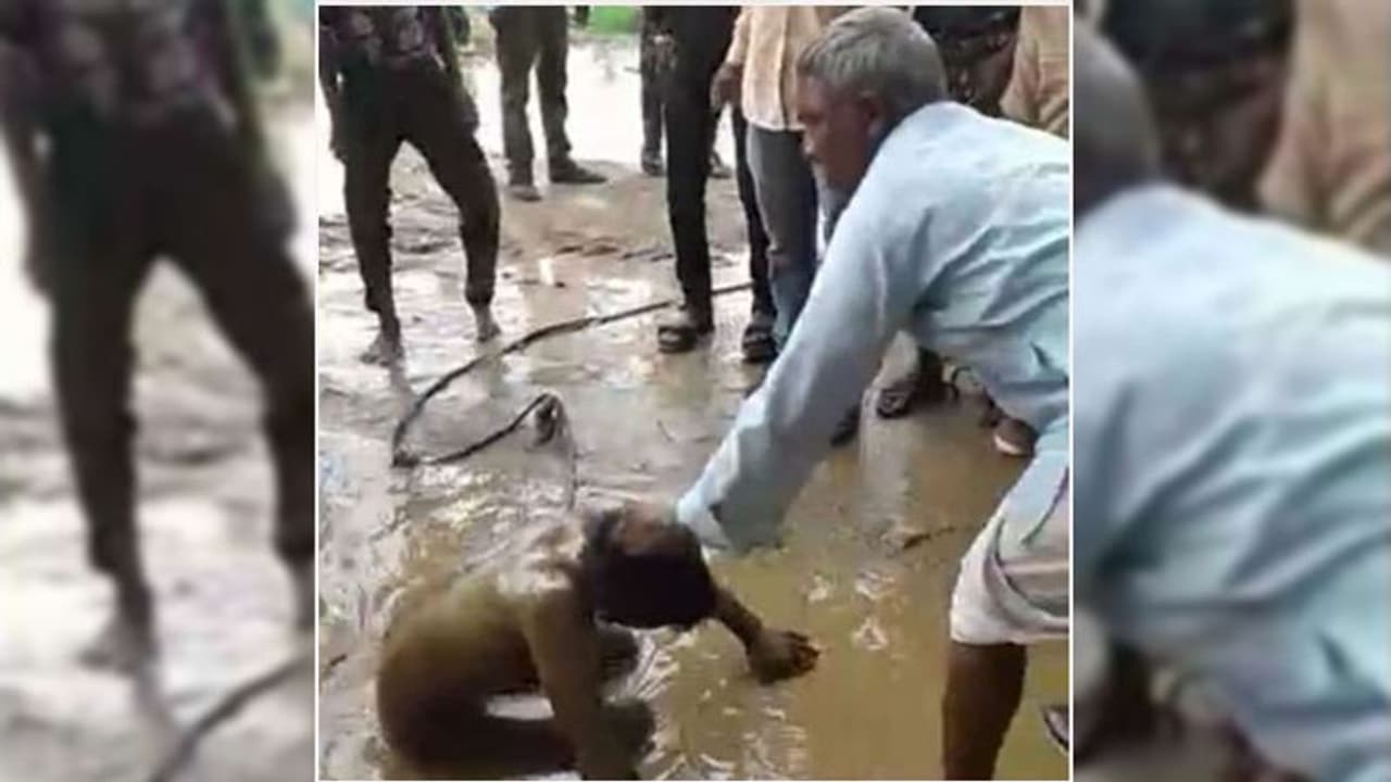 मॉब लिंचिंग: युवक के लिए जी का जंजाल बनी एक बकरी मॉब लिंचिंग: युवक के लिए जी का जंजाल बनी एक बकरी