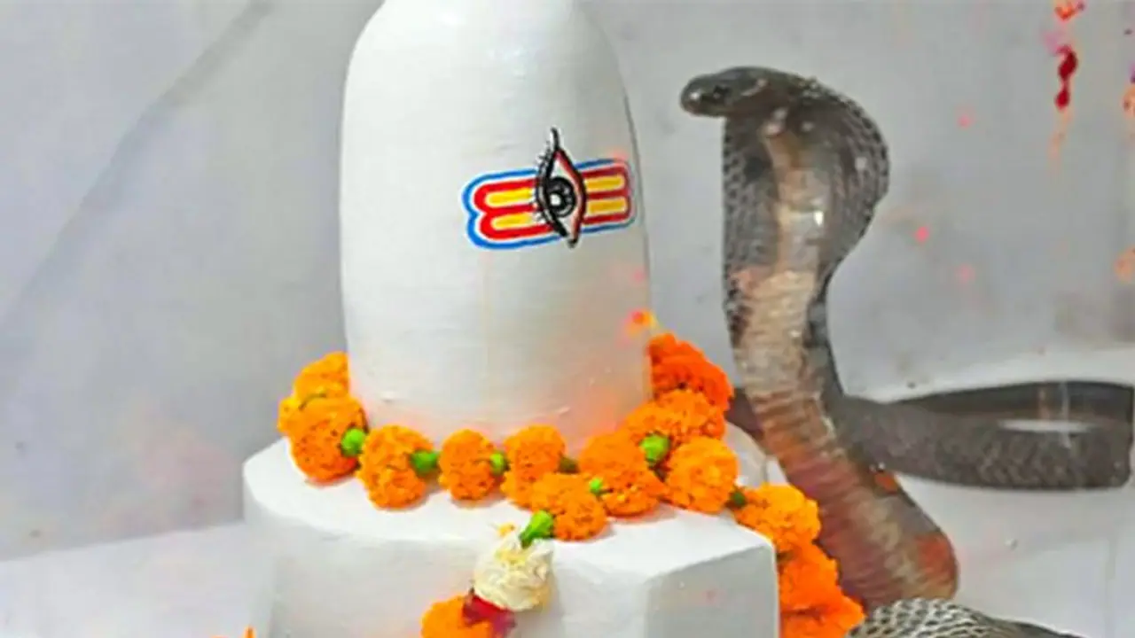 নাগ পঞ্চমীর আগের রাতে ১১ টাকার এই টোটকা কাজে লাগান, পূরণ হবে মনের সব ইচ্ছা নাগ পঞ্চমীর আগের রাতে ১১ টাকার এই টোটকা কাজে লাগান, পূরণ হবে মনের সব ইচ্ছা