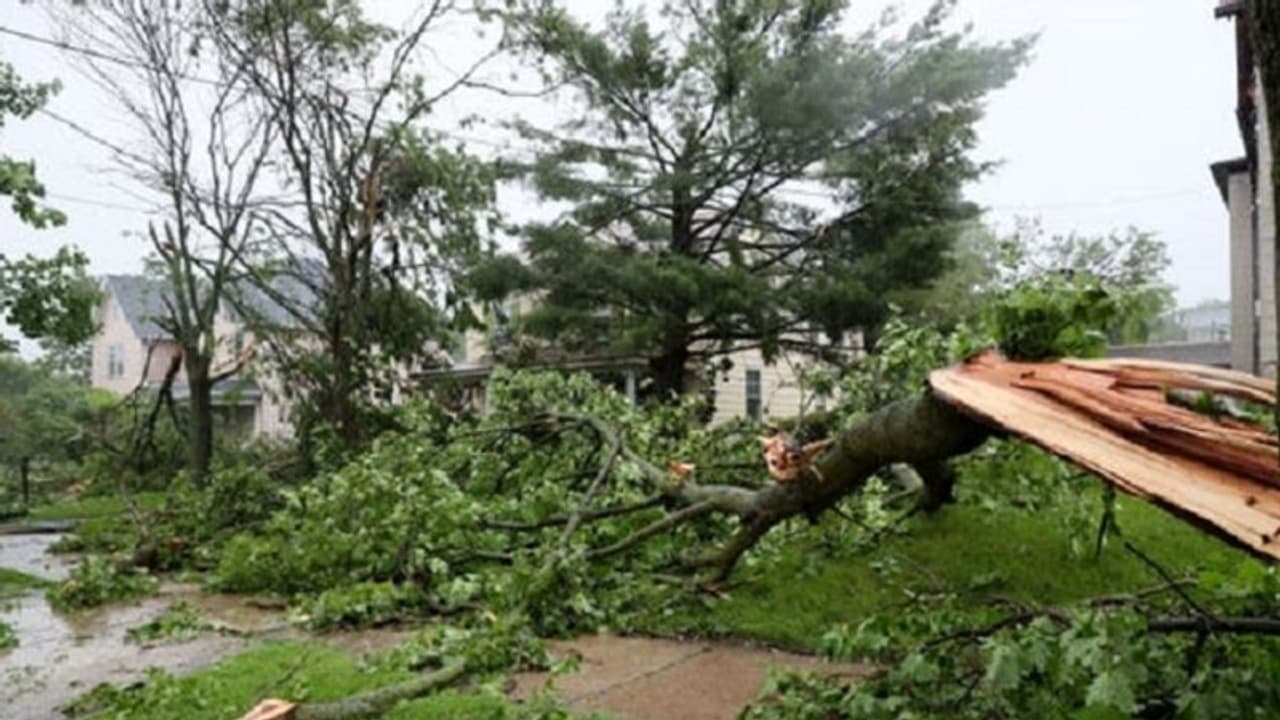 ಶೃಂಗೇರಿ: ಧರೆಗುರುಳಿದ ಮರಗಳು, ತುಂಬಿ ಹರಿದ ತುಂಗೆ ಶೃಂಗೇರಿ: ಧರೆಗುರುಳಿದ ಮರಗಳು, ತುಂಬಿ ಹರಿದ ತುಂಗೆ