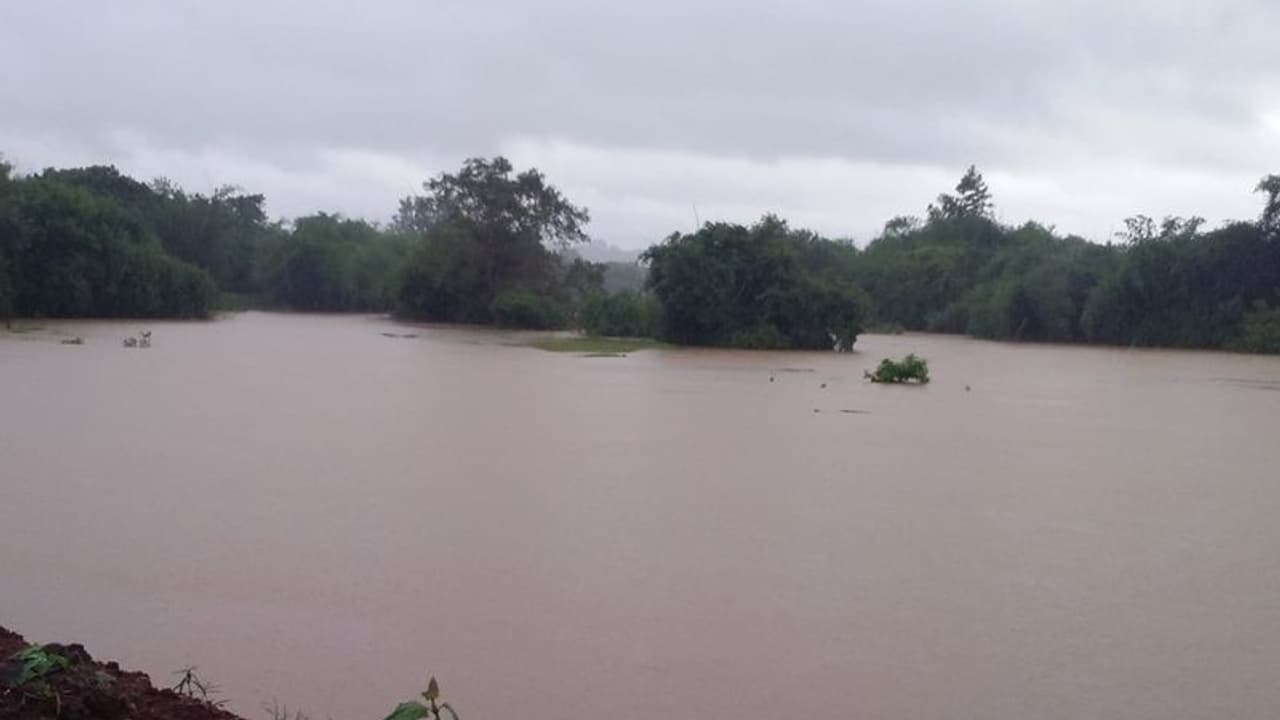 കനത്ത മഴ തുടരുന്നു; ചാലക്കുടിപുഴയ്ക്ക് സമീപമുള്ളവര്ക്ക് മാറി താമസിക്കാന് നിര്ദ്ദേശം കനത്ത മഴ തുടരുന്നു; ചാലക്കുടിപുഴയ്ക്ക് സമീപമുള്ളവര്ക്ക് മാറി താമസിക്കാന് നിര്ദ്ദേശം