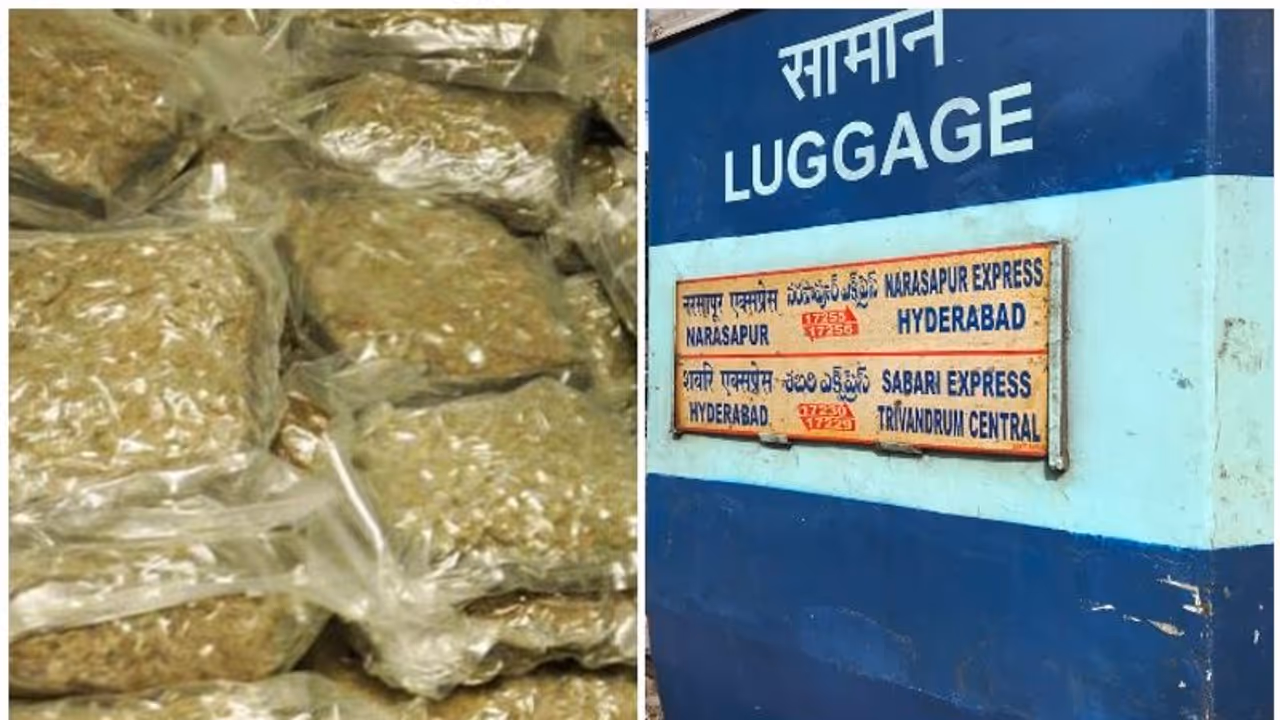 വനിതാ കമ്പാര്ട്ട്മെന്റിൽ കഞ്ചാവ്; ആര്പിഎഫ് പിടിച്ചത് 25 കിലോ വനിതാ കമ്പാര്ട്ട്മെന്റിൽ കഞ്ചാവ്; ആര്പിഎഫ് പിടിച്ചത് 25 കിലോ