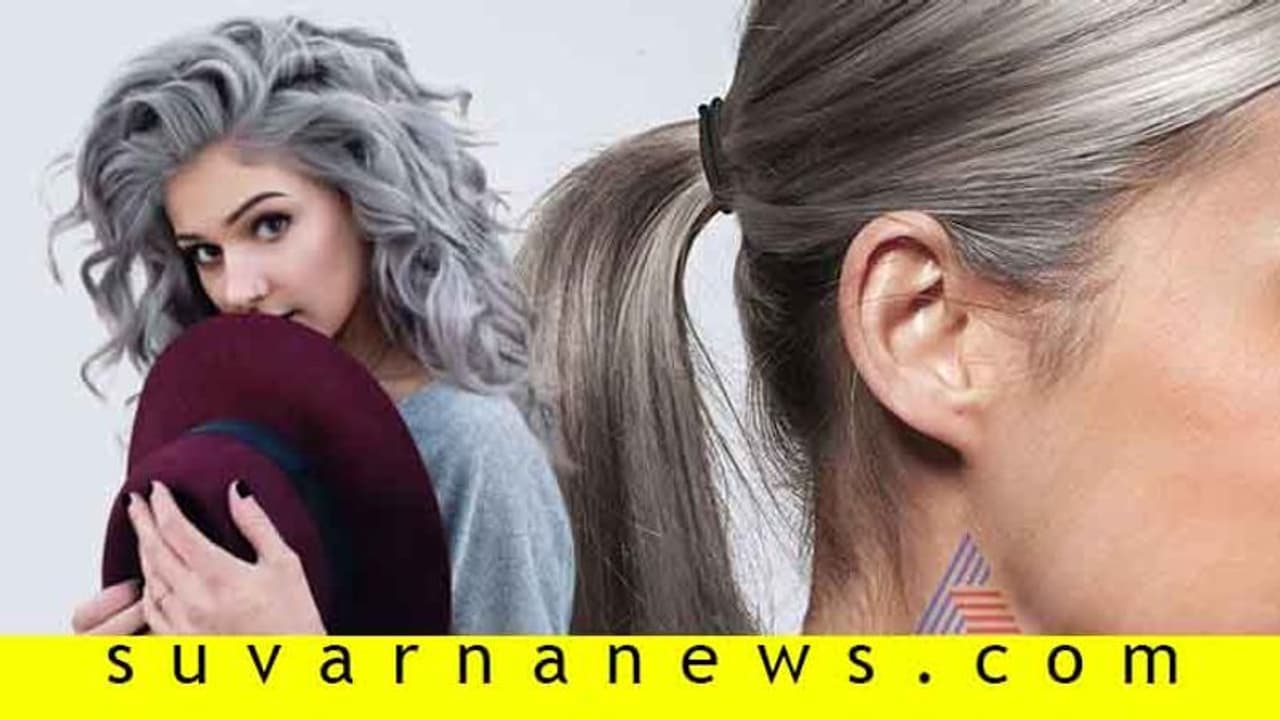 Gray Hair: ನಿಮ್ಮ ತಲೆಕೂದಲೇಕೆ ಬೇಗನೆ ಬೆಳ್ಳಗಾಗುತ್ತದೆ? ತಡೆಯುವುದು ಹೇಗೆ? Gray Hair: ನಿಮ್ಮ ತಲೆಕೂದಲೇಕೆ ಬೇಗನೆ ಬೆಳ್ಳಗಾಗುತ್ತದೆ? ತಡೆಯುವುದು ಹೇಗೆ?